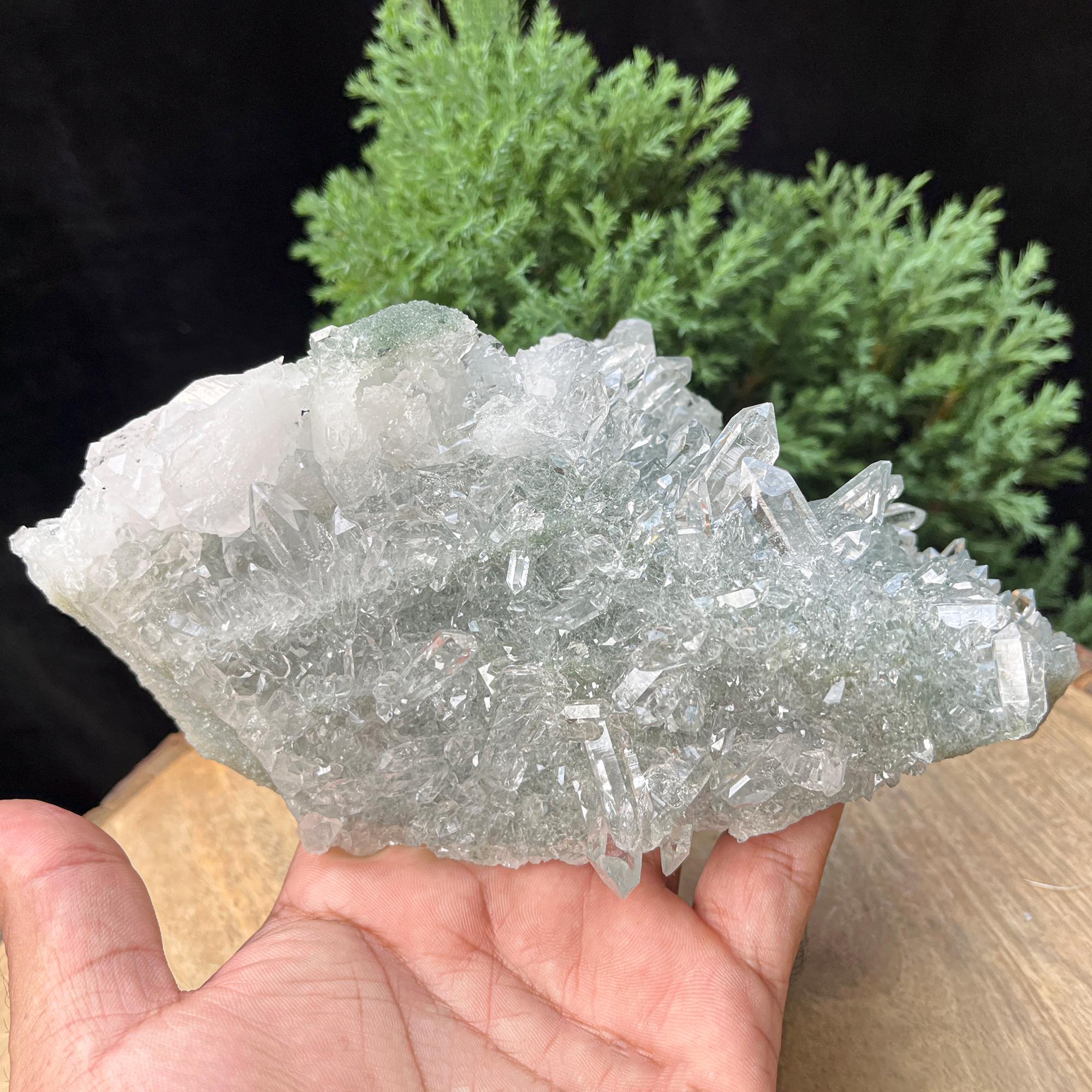 Natural Green Chlorite Quartz Cluster Rough Himalayan Quartz Crystal Specimen from India, Unique Mineral Structure Cluster