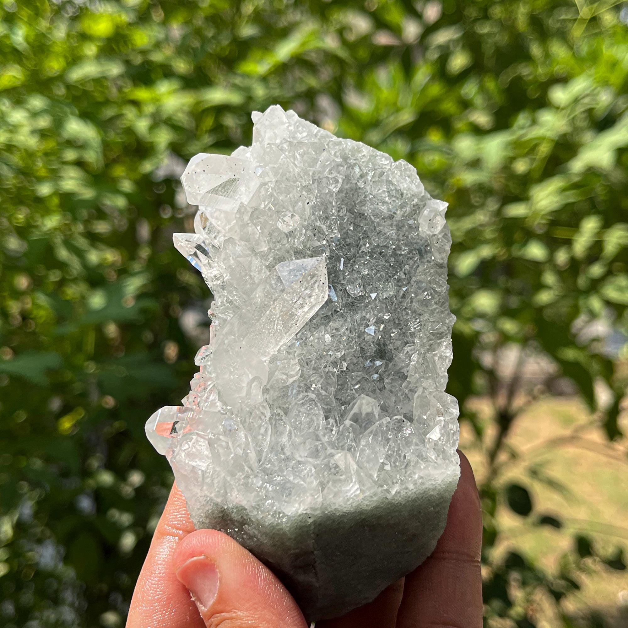 Green Chlorite Included Quartz Cluster: Elestial Himalayan Crystal Point 310gm