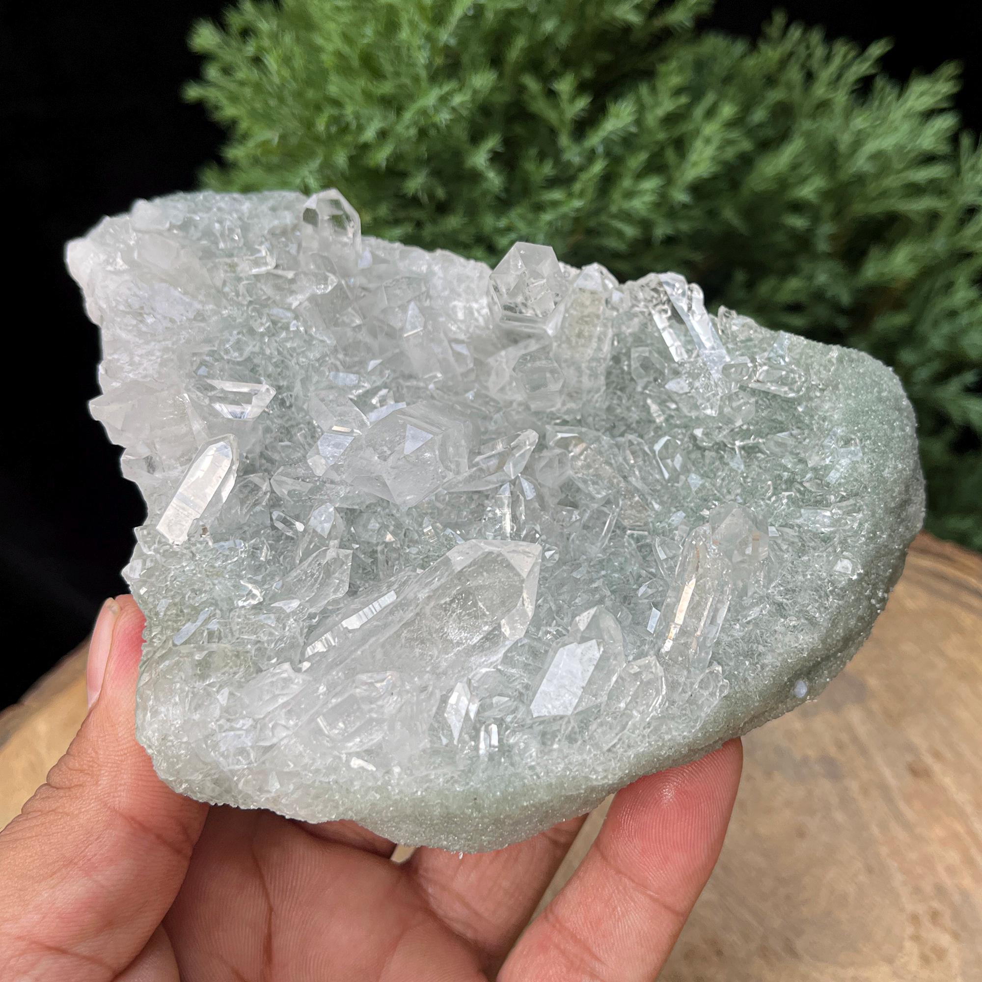 Natural Self-Standing Green Chlorite Quartz Crystal 525gm Manihar Cluster Raw Pointed Specimen | Mineral Rough Healing