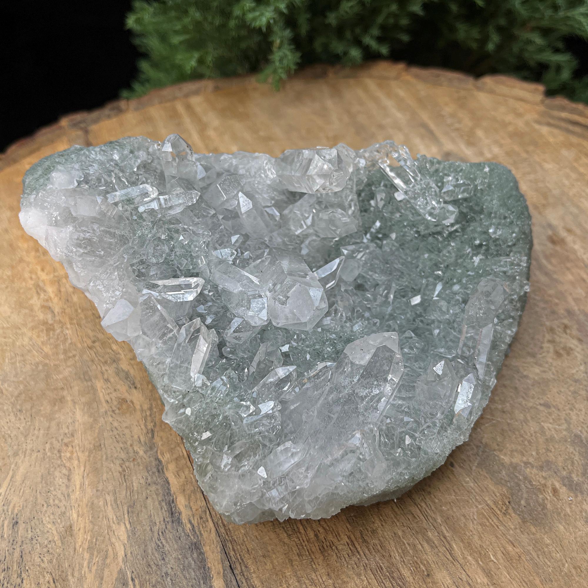 Natural Self-Standing Green Chlorite Quartz Crystal 525gm Manihar Cluster Raw Pointed Specimen | Mineral Rough Healing
