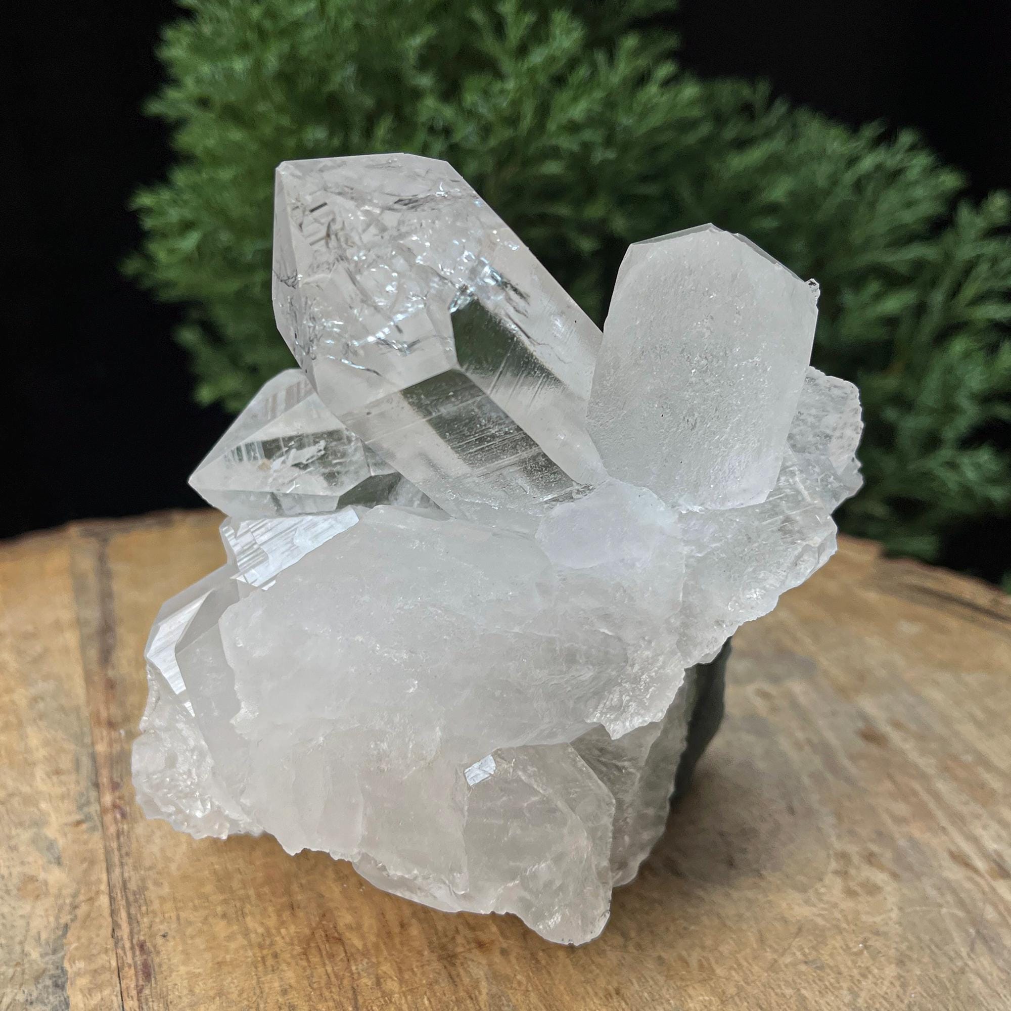 Green Chlorite Quartz Crystal Cluster: Natural Healing Stone 620gm