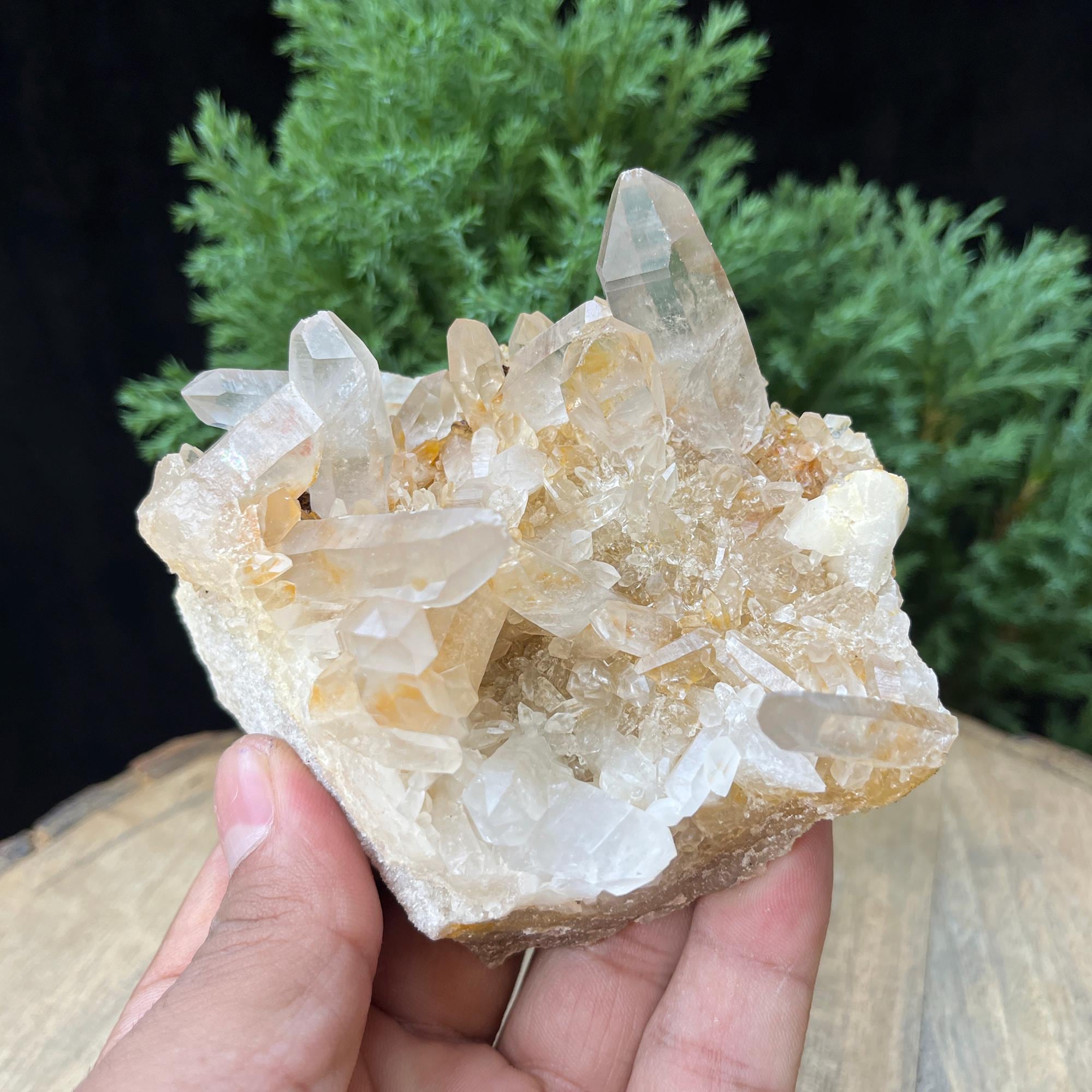 Golden Healer Samadhi Quartz Cluster: Himalayan Reiki Healing Crystal 340gm