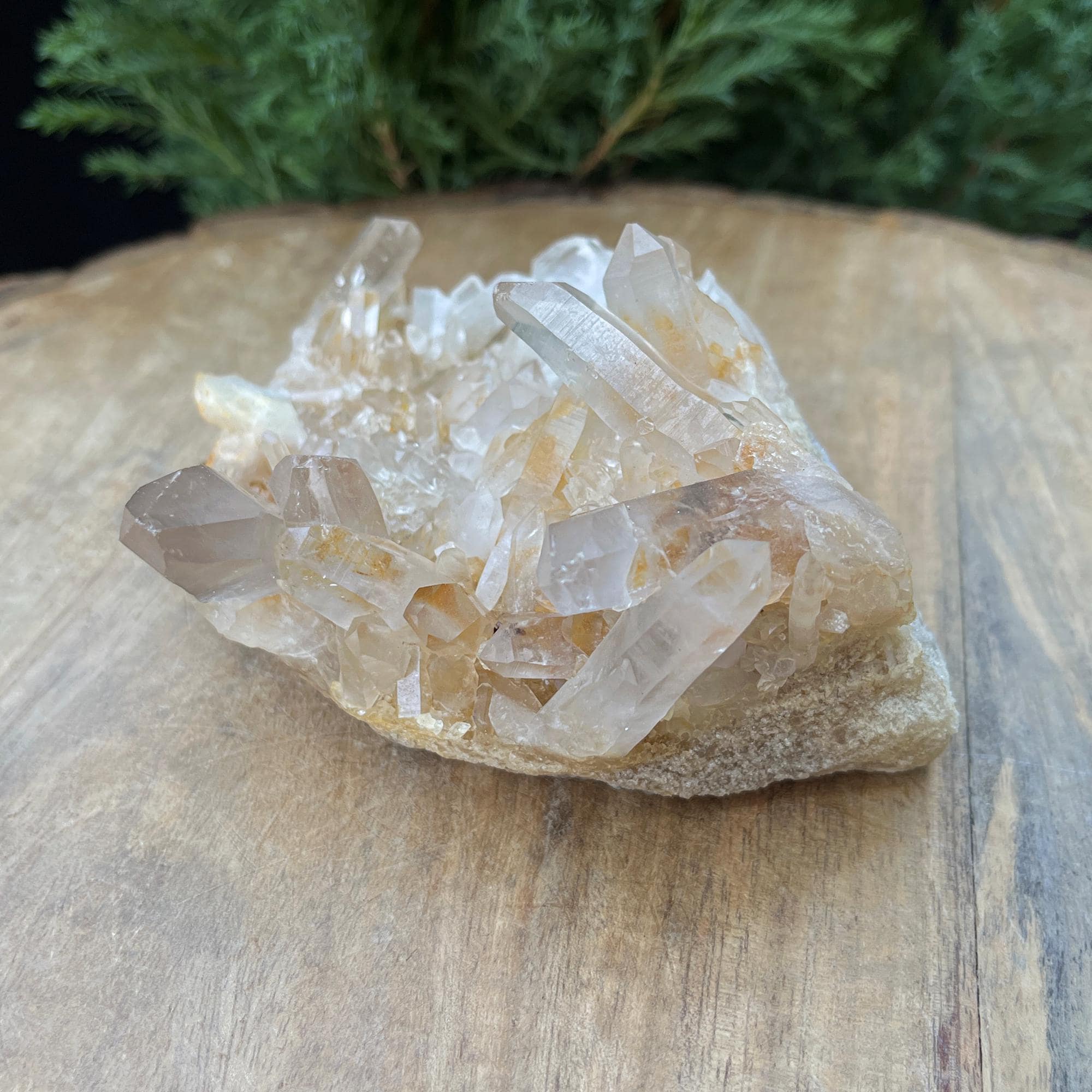 Golden Healer Samadhi Quartz Cluster: Himalayan Reiki Healing Crystal 340gm
