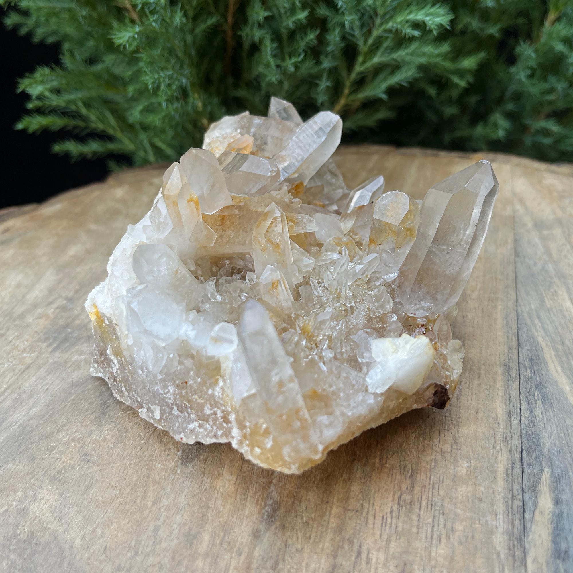 Golden Healer Samadhi Quartz Cluster: Himalayan Reiki Healing Crystal 340gm