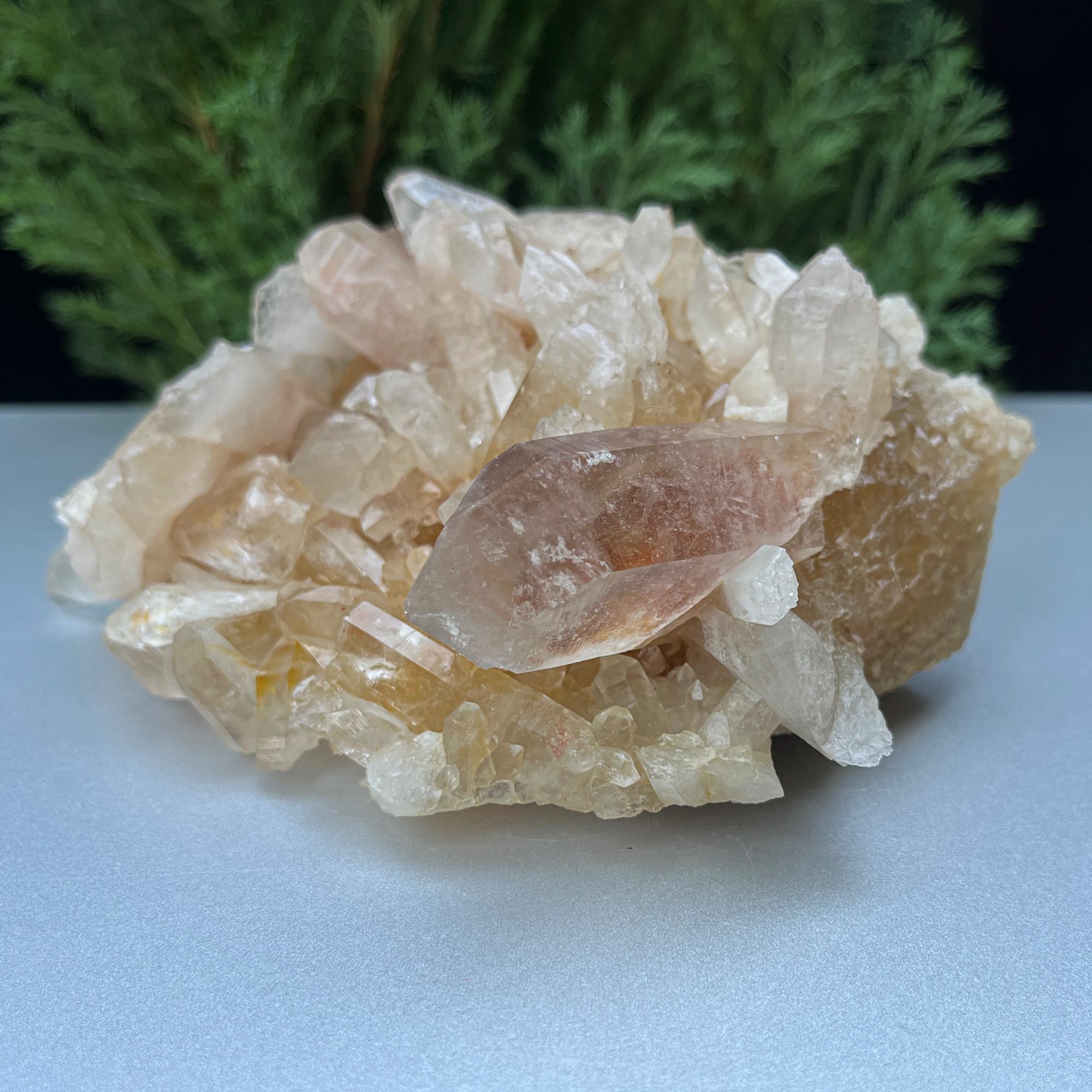 Raw Citrine Quartz Crystal Point: Natural Yellow Samadhi Healing Stone 650gm