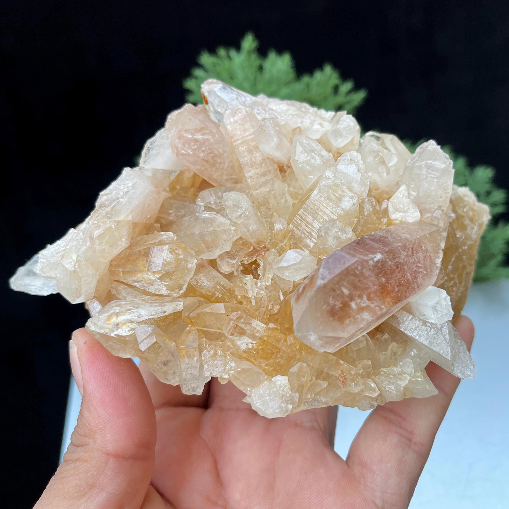 Raw Citrine Quartz Crystal Point: Natural Yellow Samadhi Healing Stone 650gm