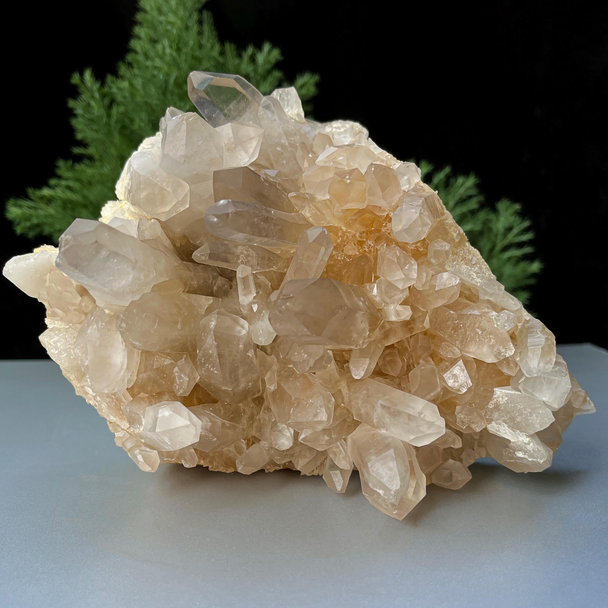 Himalayan Yellow Quartz Cluster: Golden Healer Crystal, Home Decor