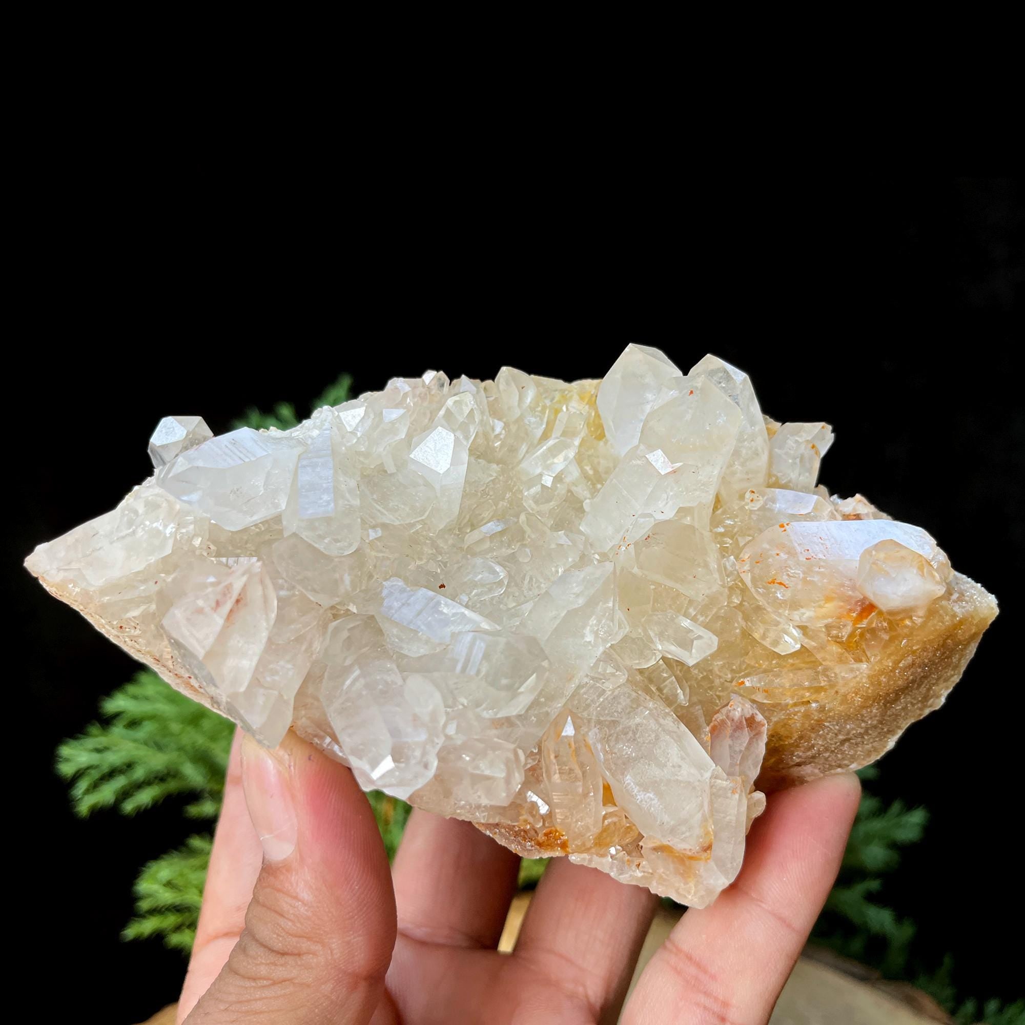 Golden Healer Quartz Cluster: Himalayan Yellow Samadhi Crystal, Home Decor 545gm