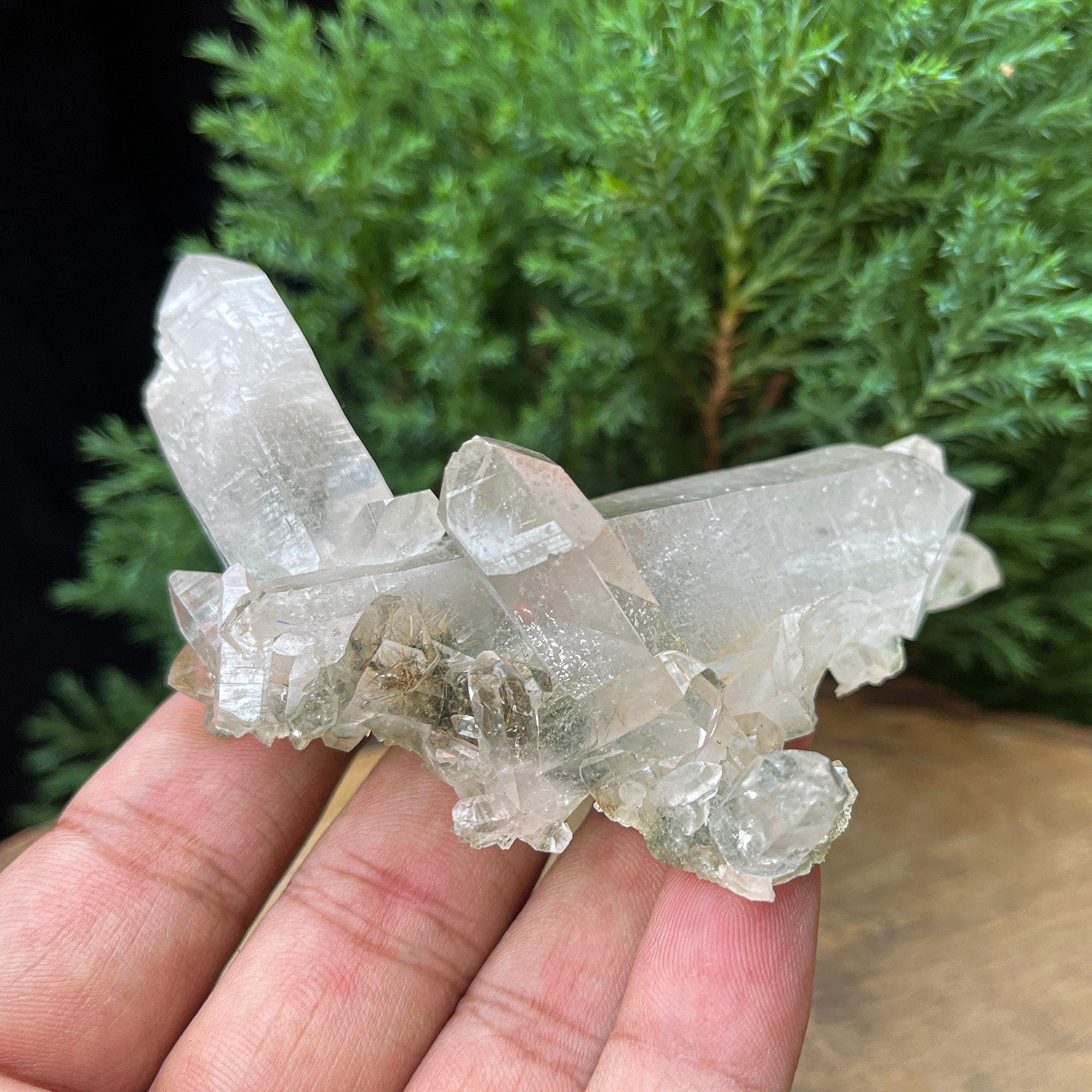 Natural Green Chlorite Quartz Crystal: Rough Specimen Mineral, Healing Decor 110gm
