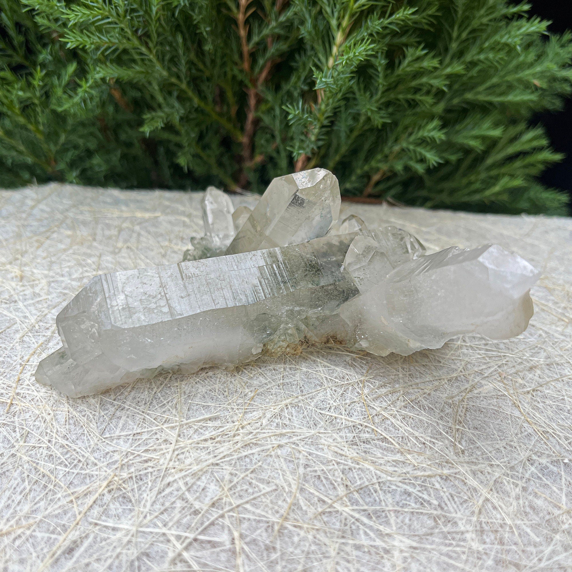 Natural Green Chlorite Quartz Crystal: Rough Specimen Mineral, Healing Decor 110gm