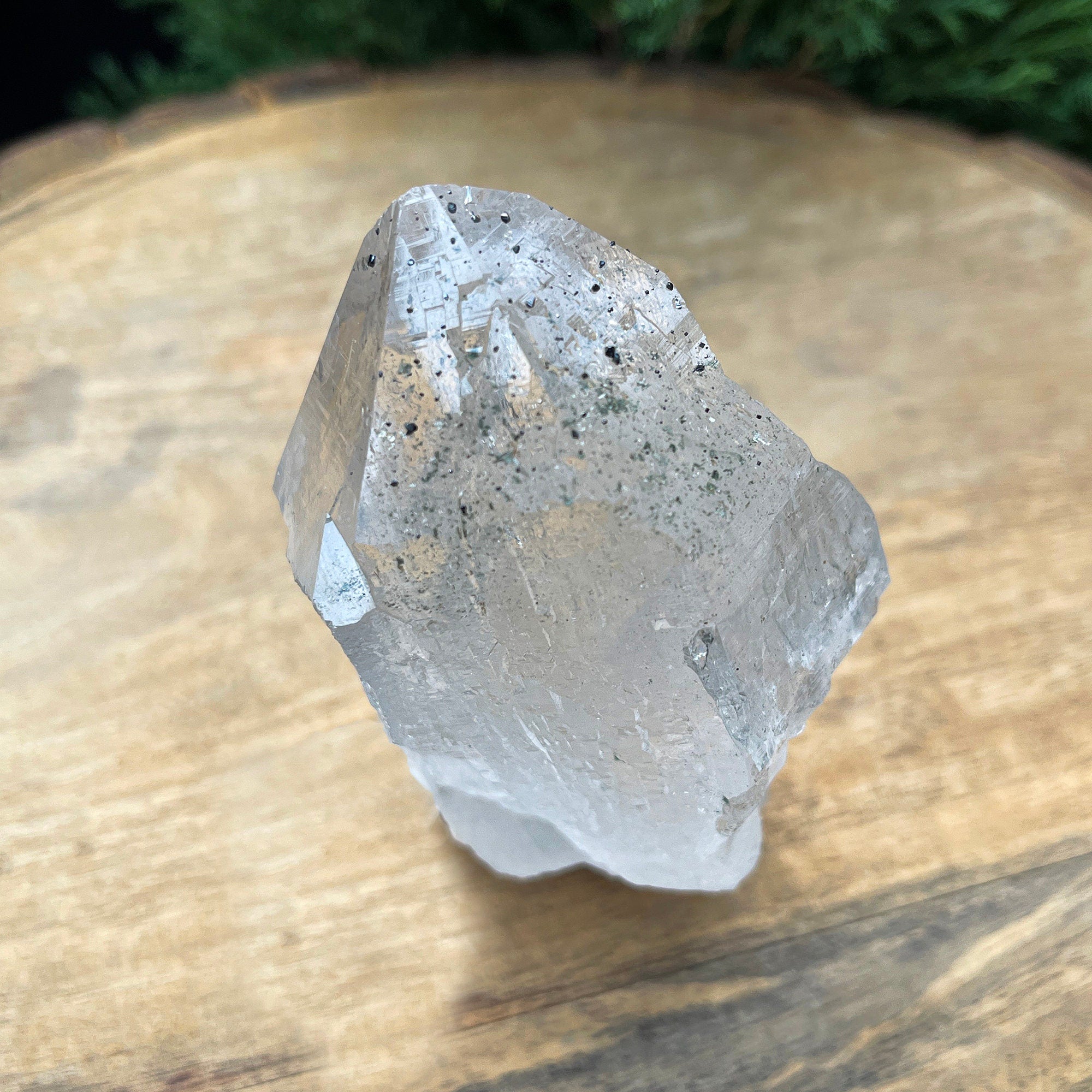 Clear Chlorite Quartz Point: 260gm Red Healer Crystal Self-Standing Rough