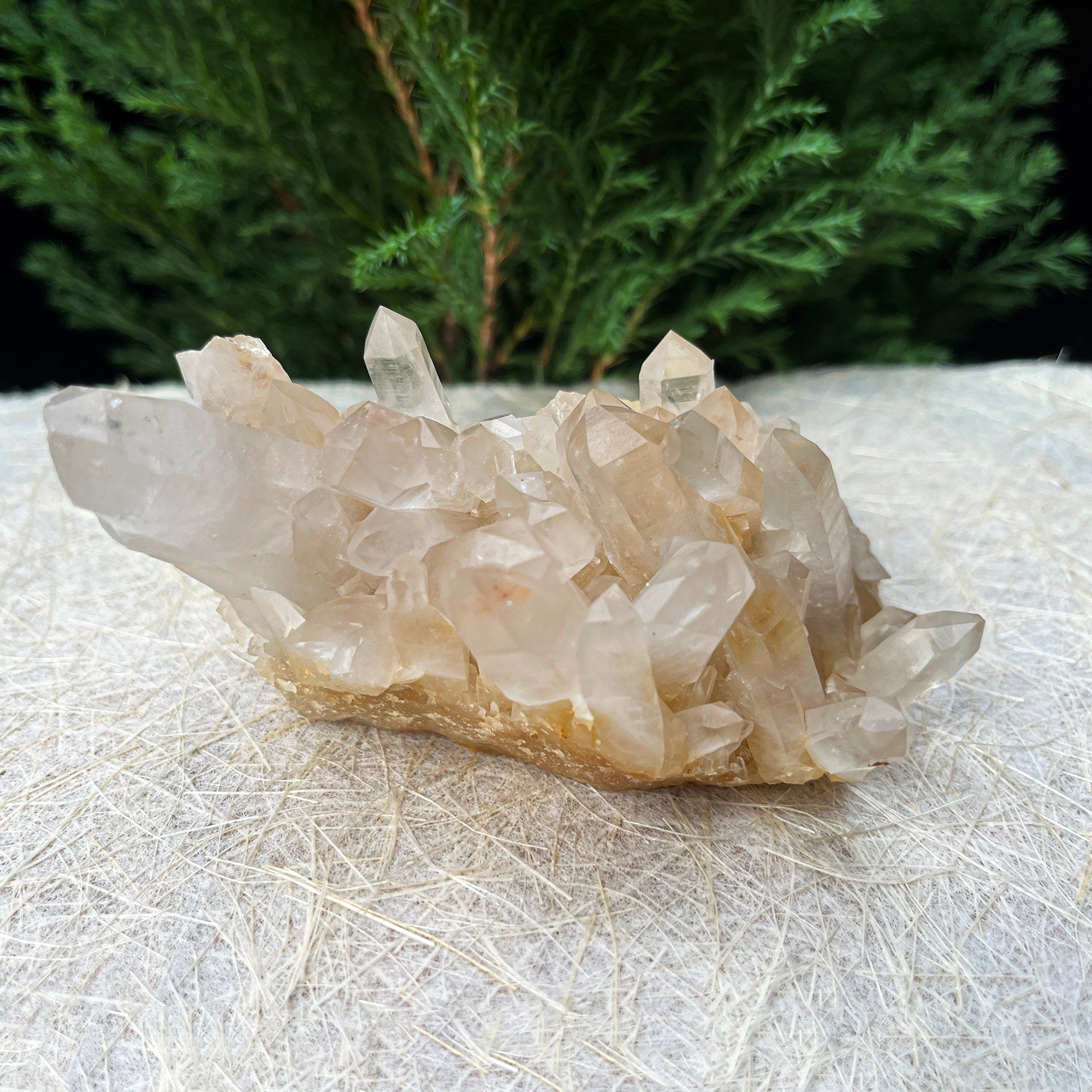 Natural Yellow Quartz Crystal: Himalayan Reiki Healing Rough Stone 280gm