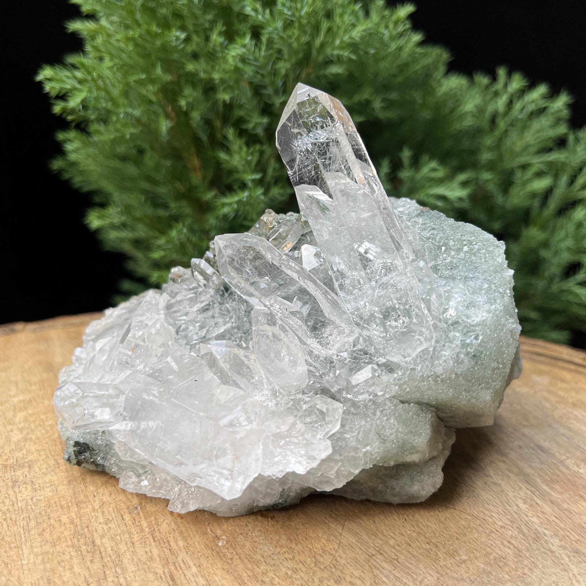Natural Green Chlorite Quartz Crystal 440gm Himalayan Manihar Cluster Raw Pointed Specimen Rough Cluster