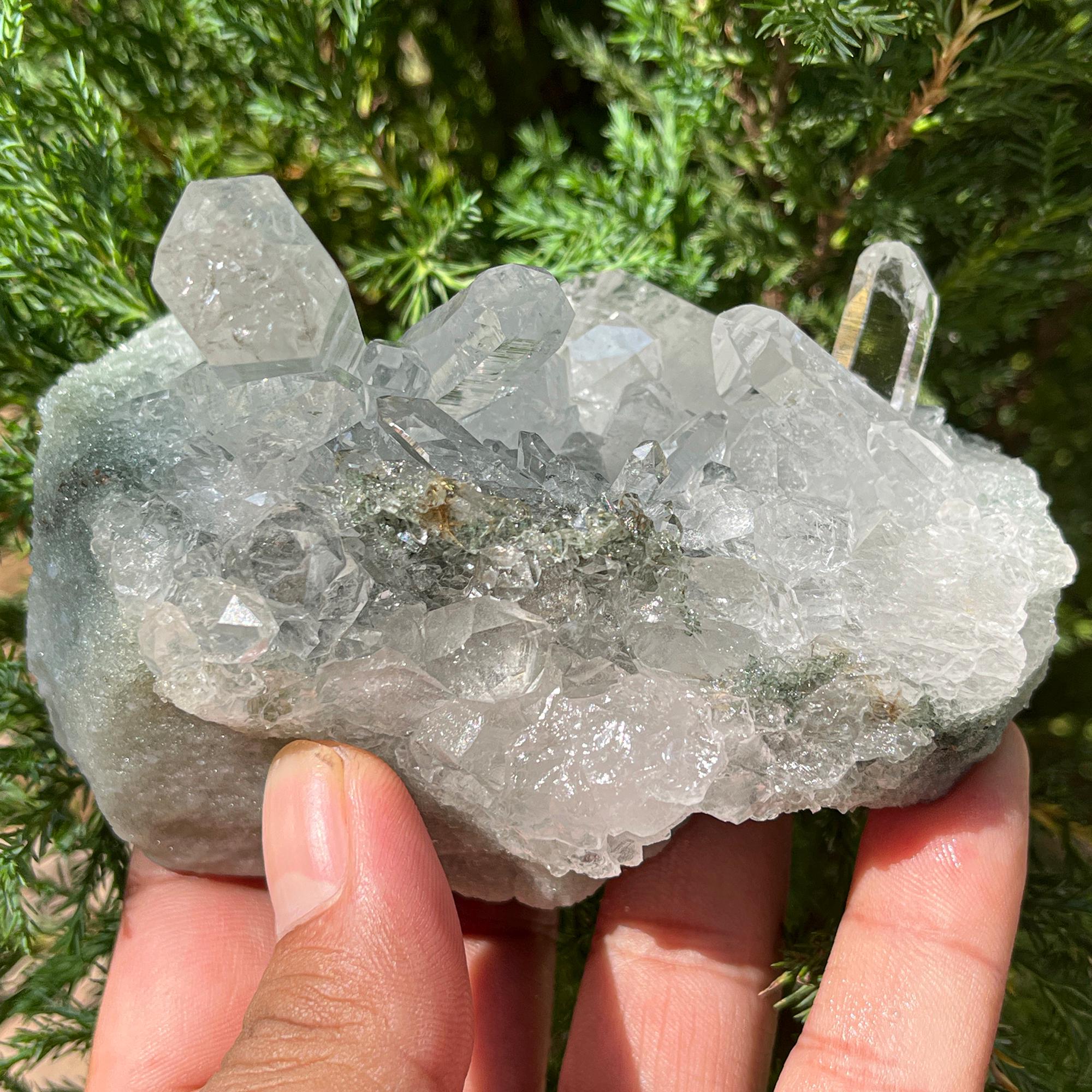 Natural Green Chlorite Quartz Crystal 440gm Himalayan Manihar Cluster Raw Pointed Specimen Rough Cluster