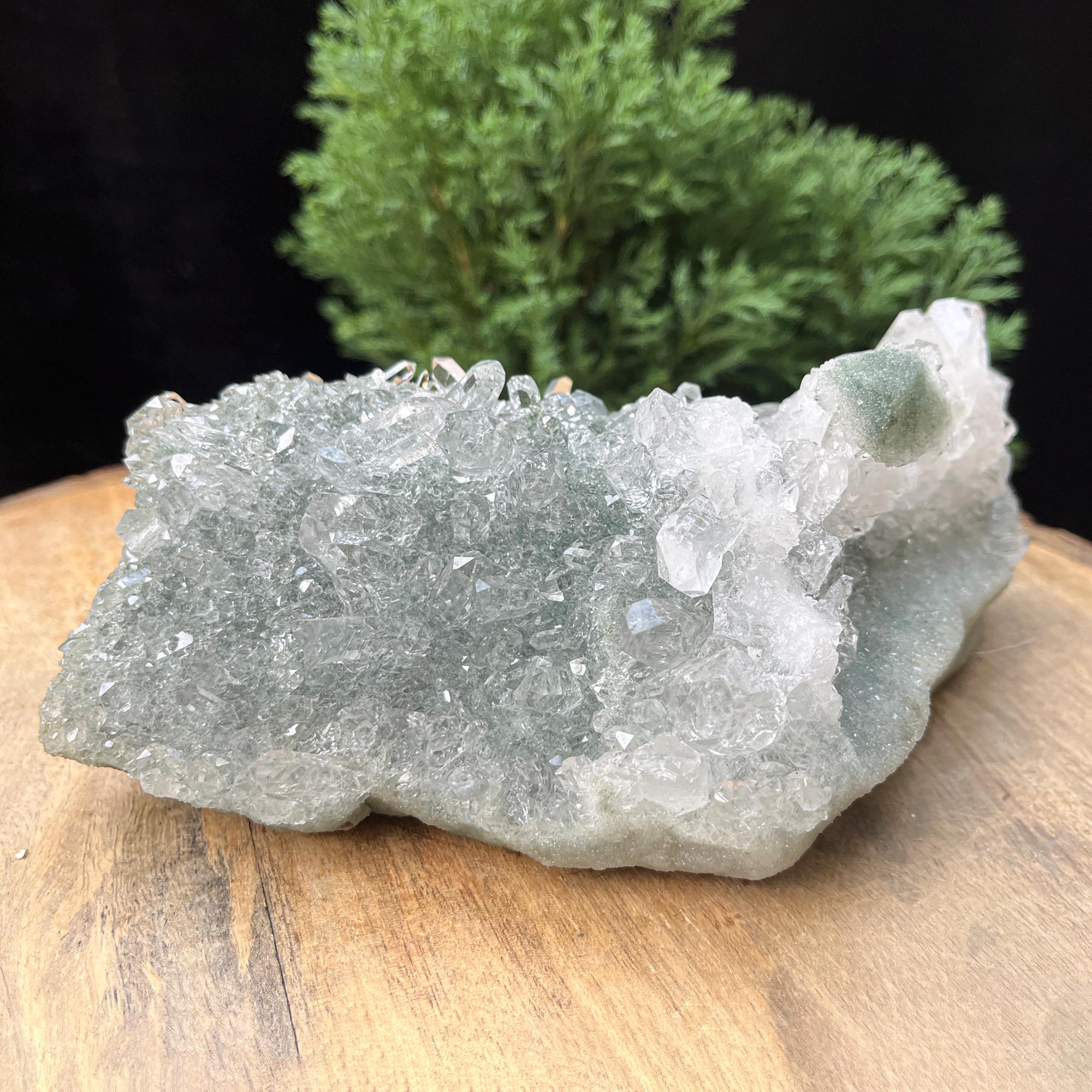 Natural Green Chlorite Quartz Cluster Rough Himalayan Quartz Crystal Specimen from India, Unique Mineral Structure Cluster
