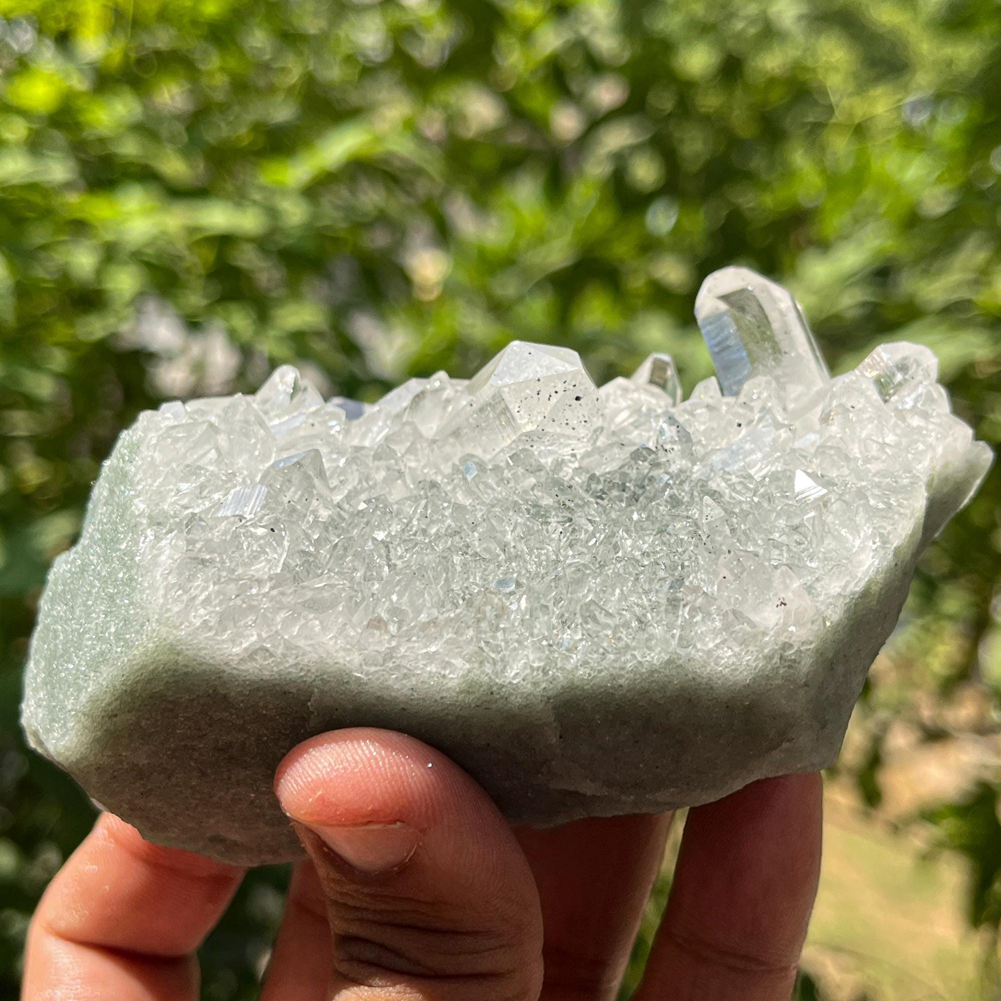 Green Chlorite Included Quartz Cluster: Elestial Himalayan Crystal Point 310gm