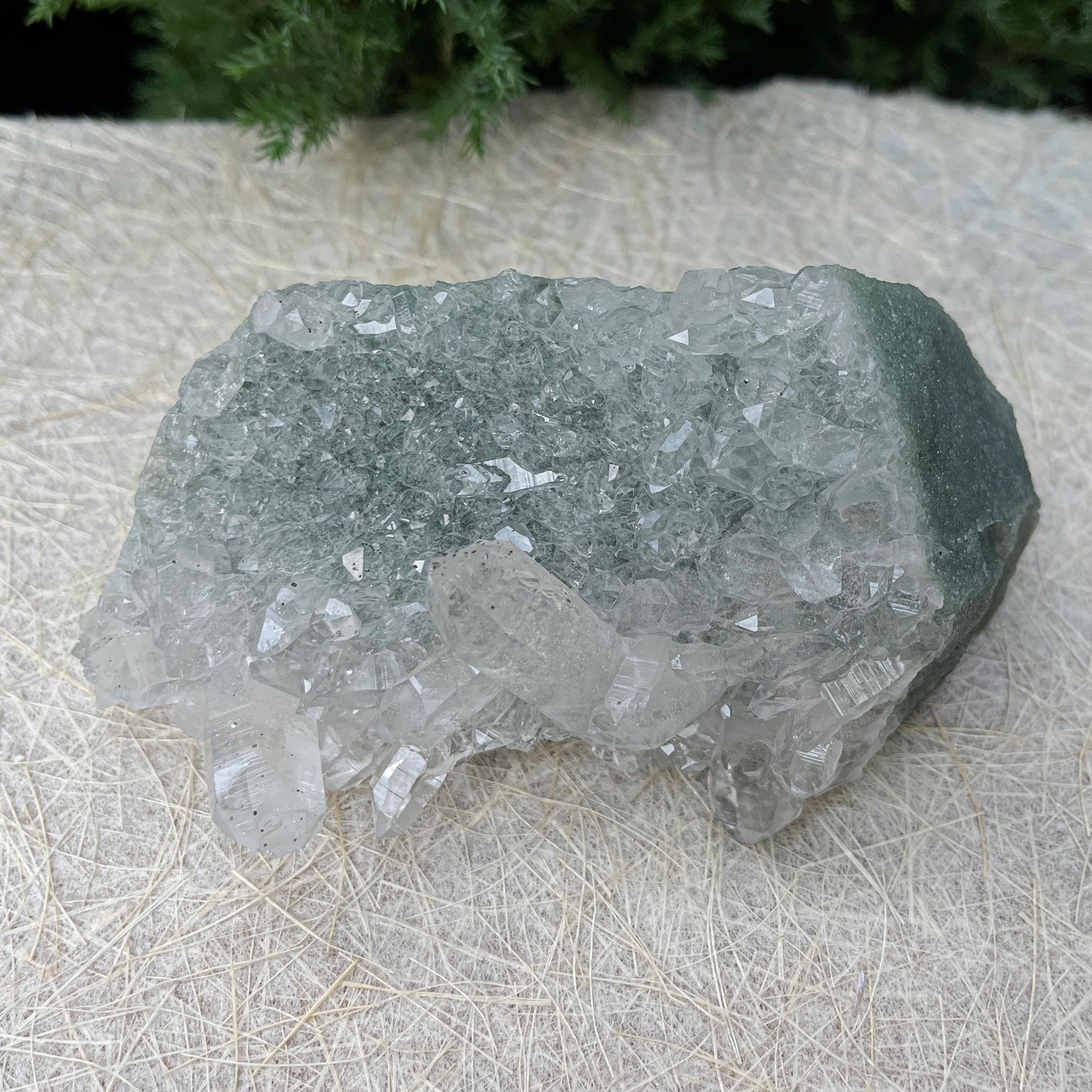 Green Chlorite Included Quartz Cluster: Elestial Himalayan Crystal Point 310gm
