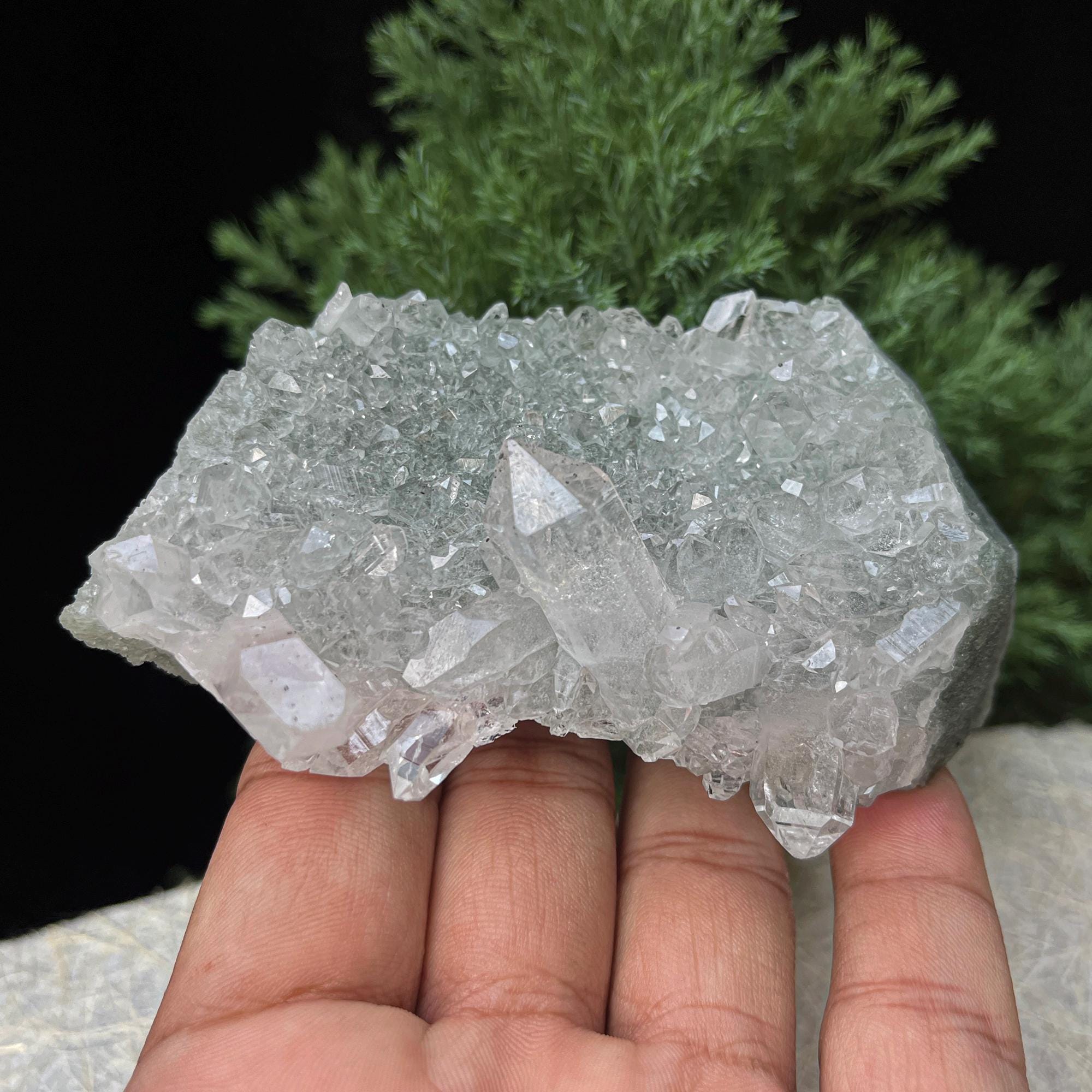 Green Chlorite Included Quartz Cluster: Elestial Himalayan Crystal Point 310gm