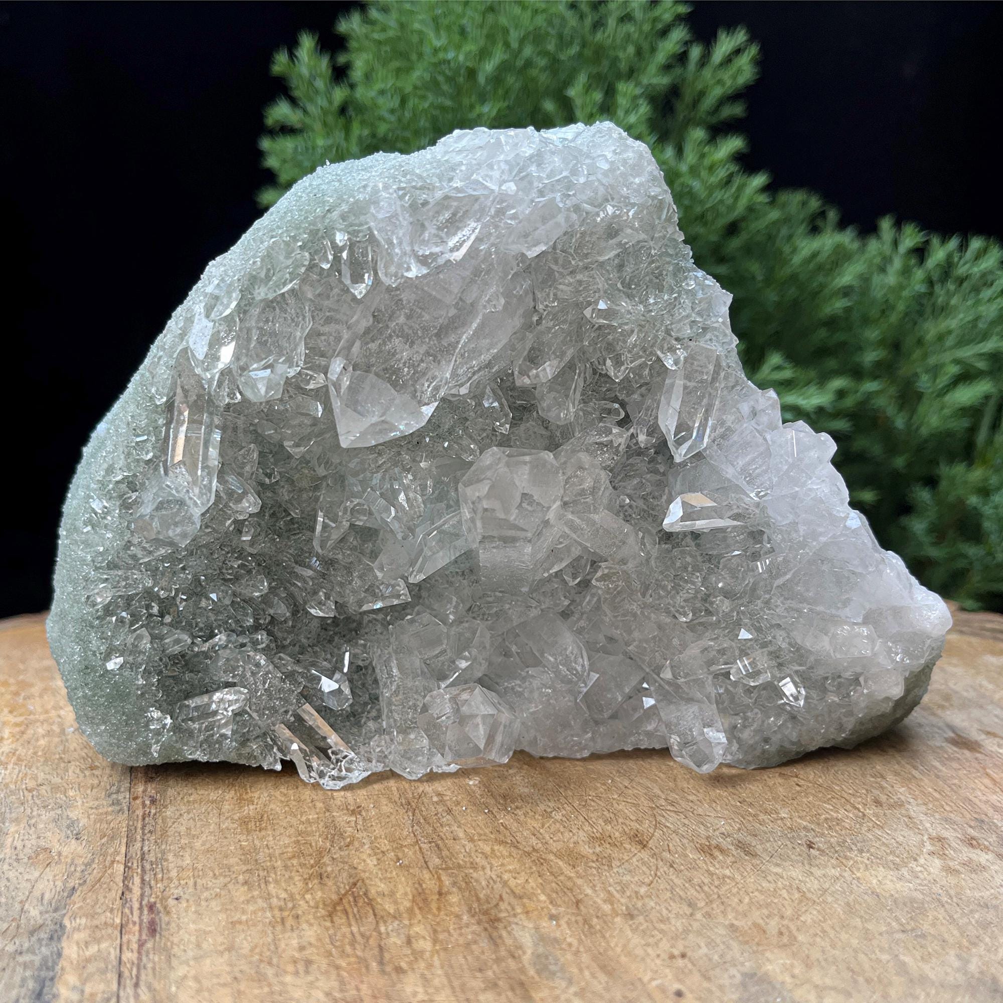 Natural Self-Standing Green Chlorite Quartz Crystal 525gm Manihar Cluster Raw Pointed Specimen | Mineral Rough Healing