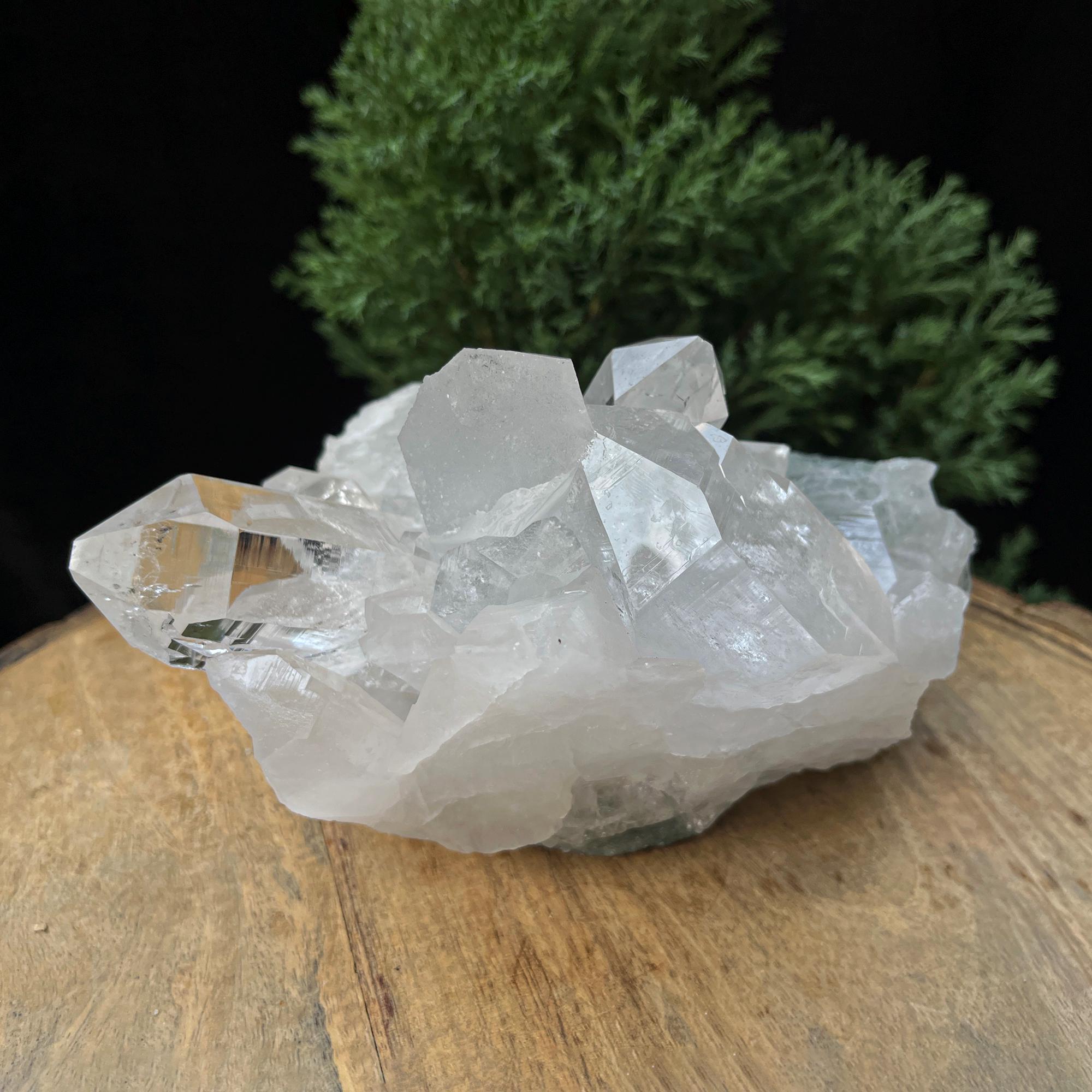 Green Chlorite Himalayan Quartz Cluster : Mineral Specimen, Manihar Crystal