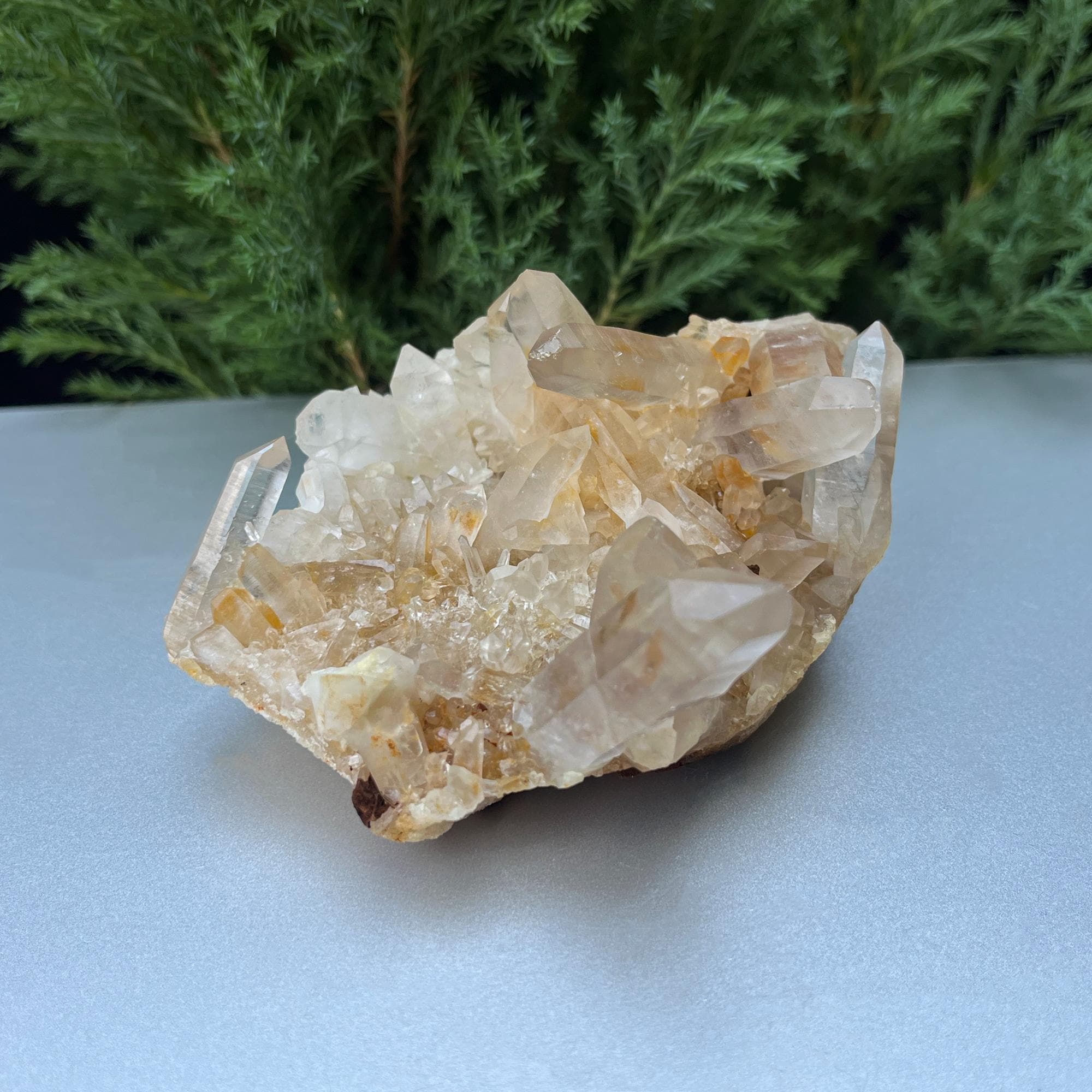 Golden Healer Samadhi Quartz Cluster: Himalayan Reiki Healing Crystal 340gm