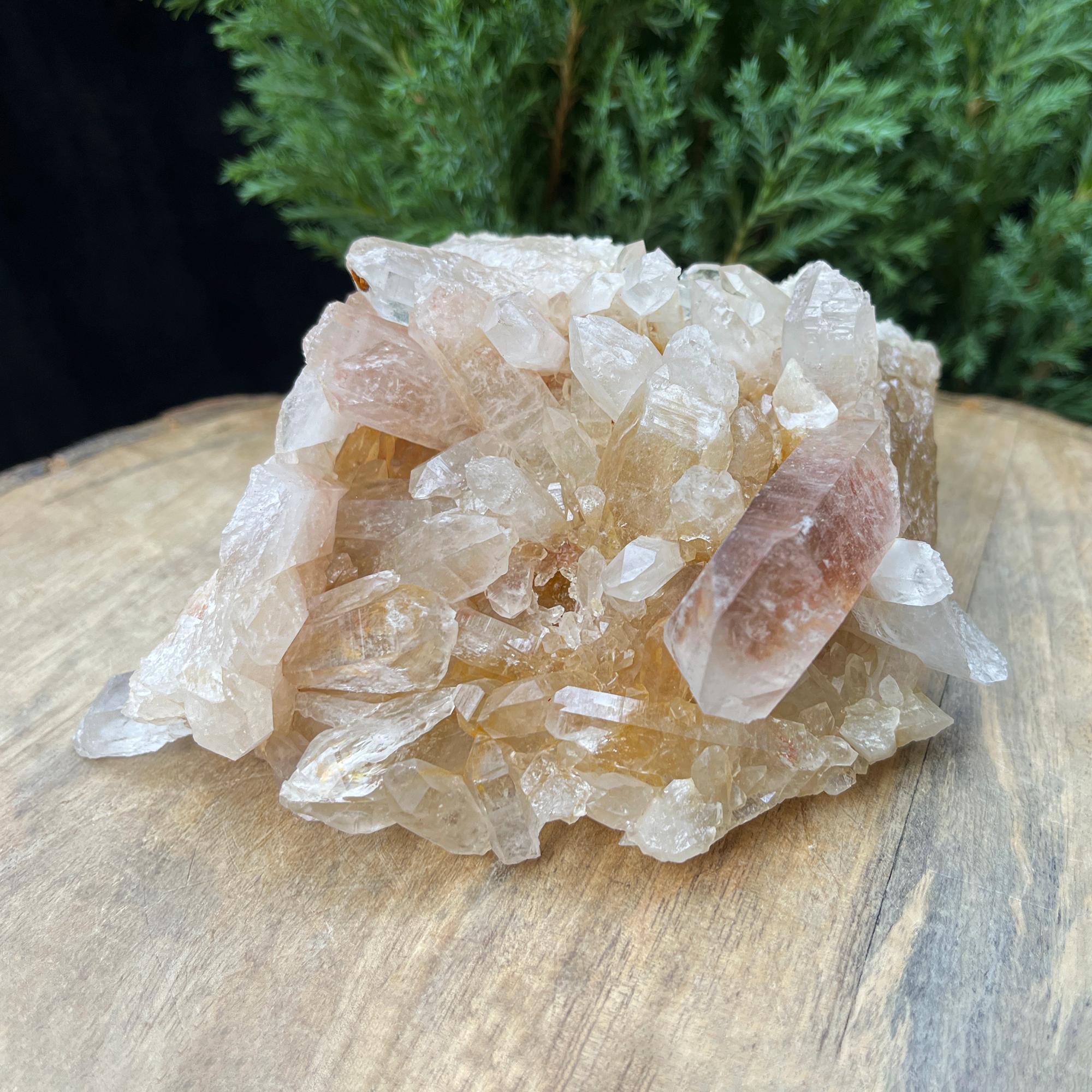 Raw Citrine Quartz Crystal Point: Natural Yellow Samadhi Healing Stone 650gm