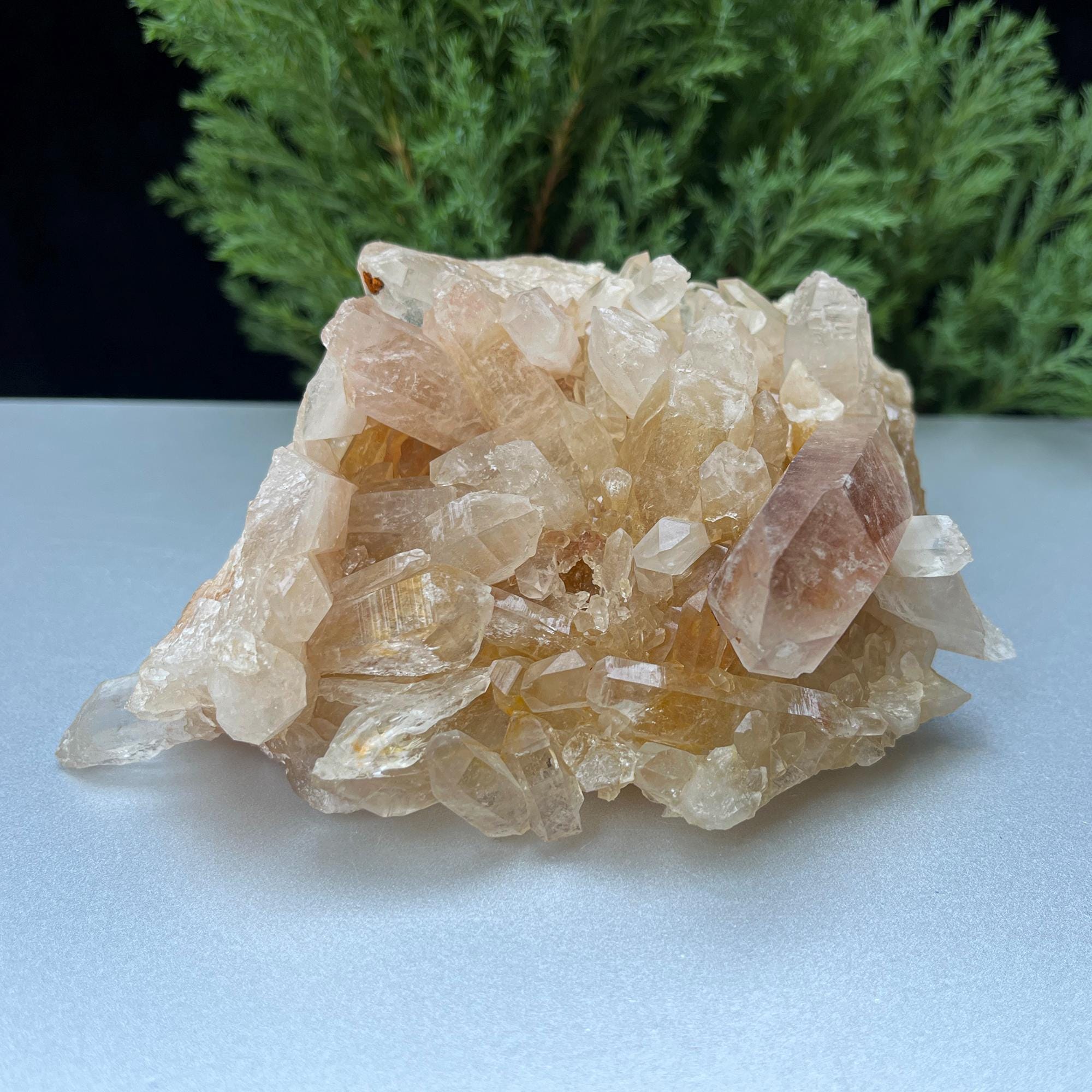 Raw Citrine Quartz Crystal Point: Natural Yellow Samadhi Healing Stone 650gm