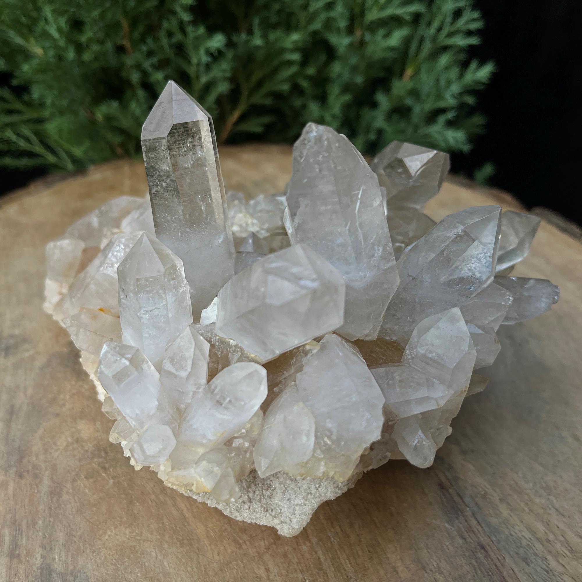 Yellow Samadhi Quartz Cluster: Golden Healer Crystal, 1.285kg