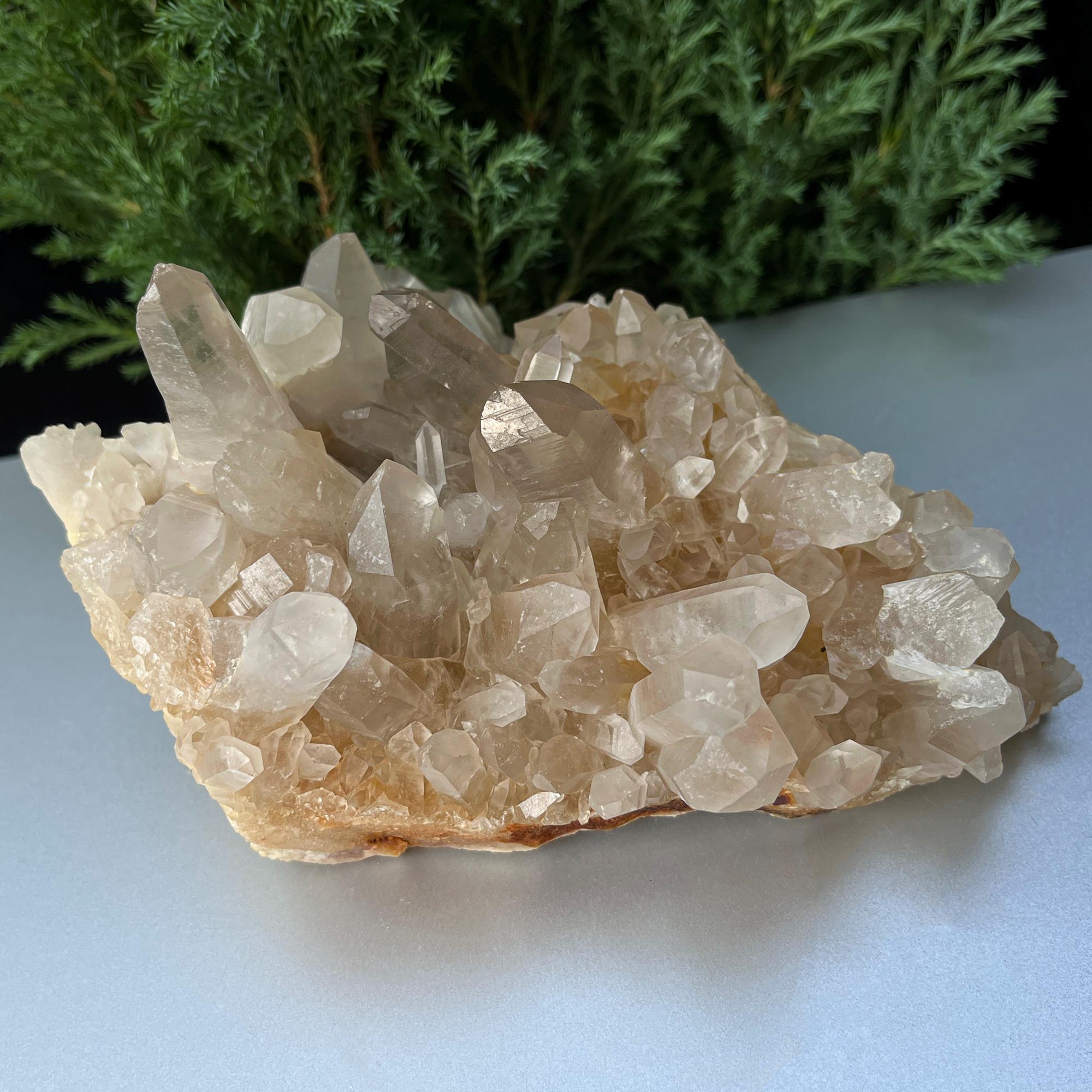 Himalayan Yellow Quartz Cluster: Golden Healer Crystal, Home Decor