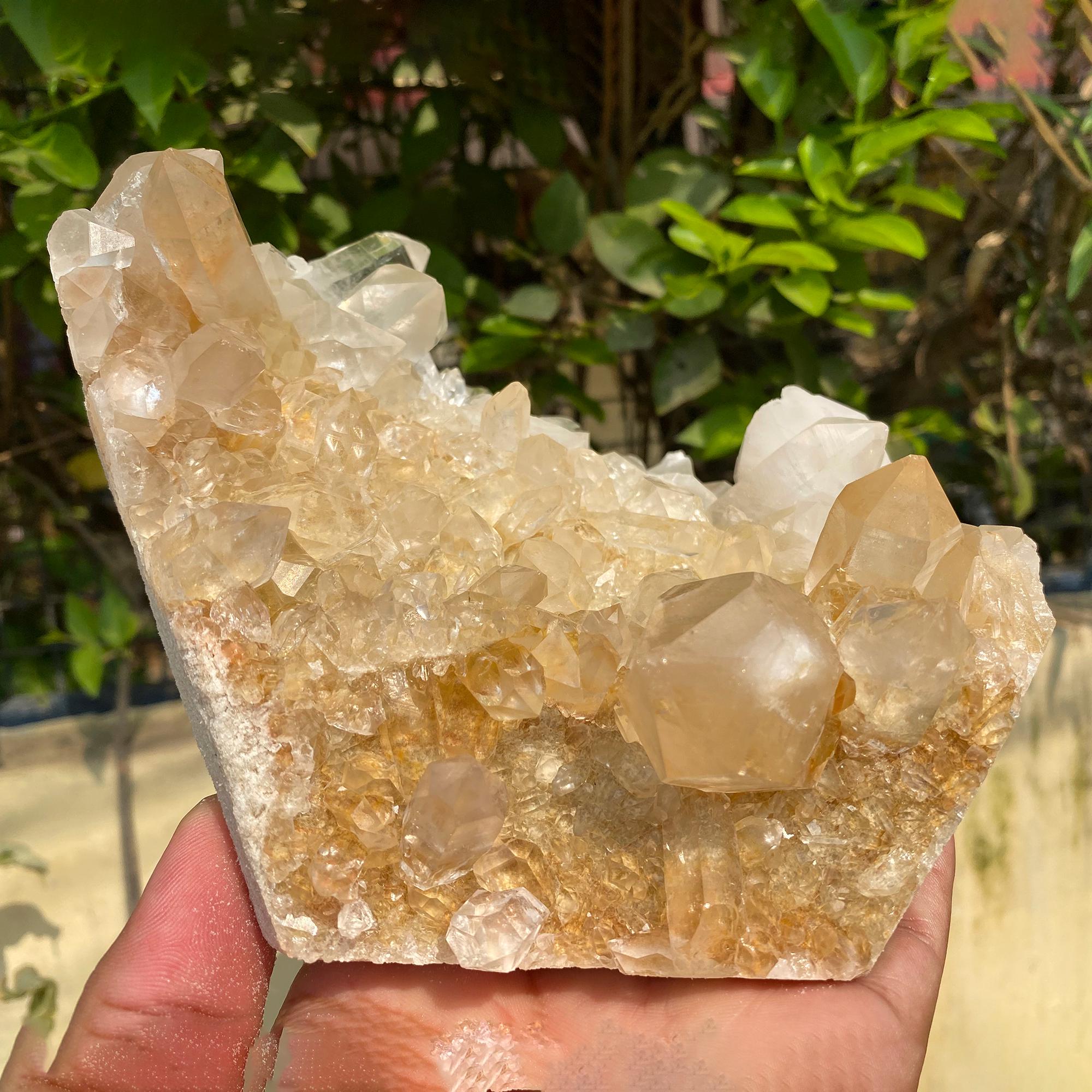 Yellow Samadhi Quartz Crystal, Golden Healer Mineral Specimen, Home Decor