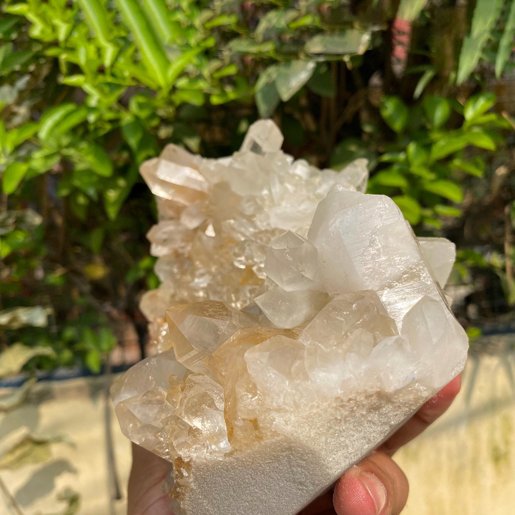 Yellow Samadhi Quartz Crystal, Golden Healer Mineral Specimen, Home Decor