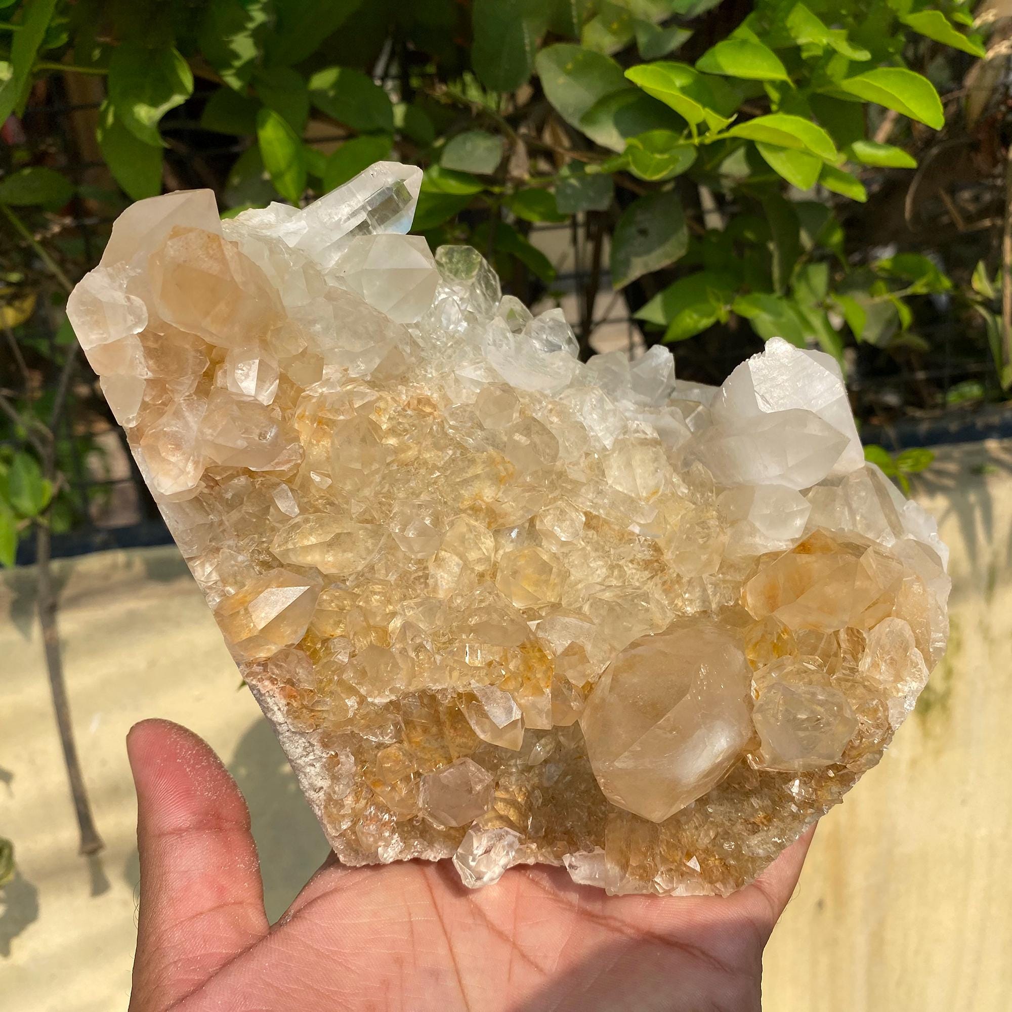 Yellow Samadhi Quartz Crystal, Golden Healer Mineral Specimen, Home Decor