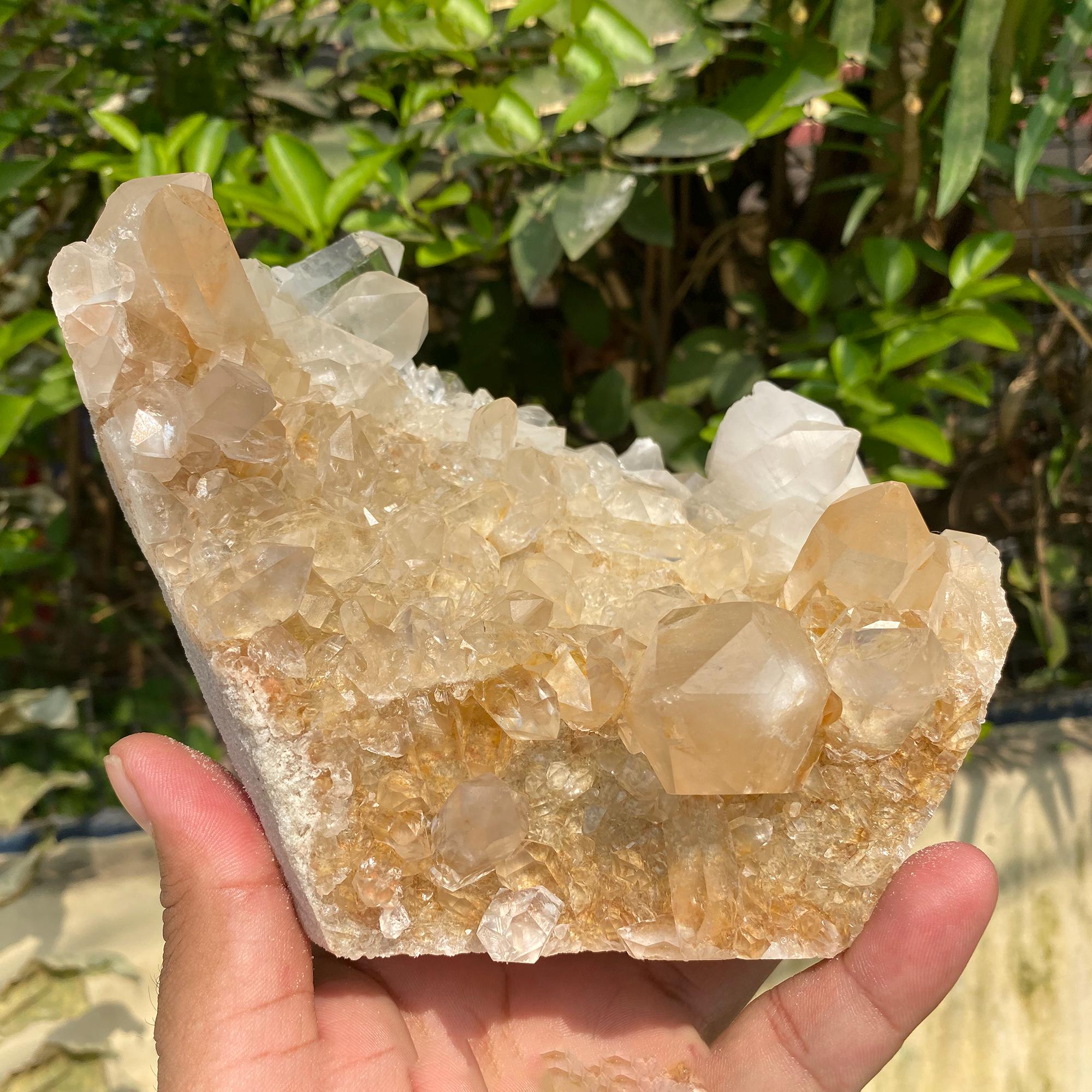Yellow Samadhi Quartz Crystal, Golden Healer Mineral Specimen, Home Decor