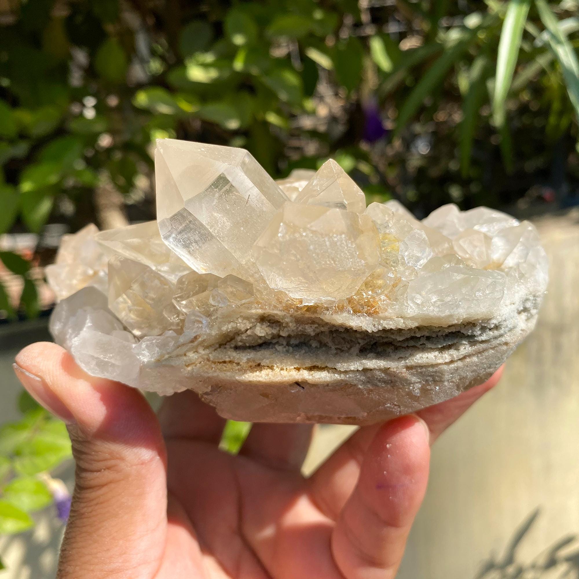 Golden Healer Quartz, Flowers Quartz Yellow Quartz, Samadhi Quartz Cluster, 735gm Limonite Quartz, Natural Mineral Specimen Quartz YLQ-335