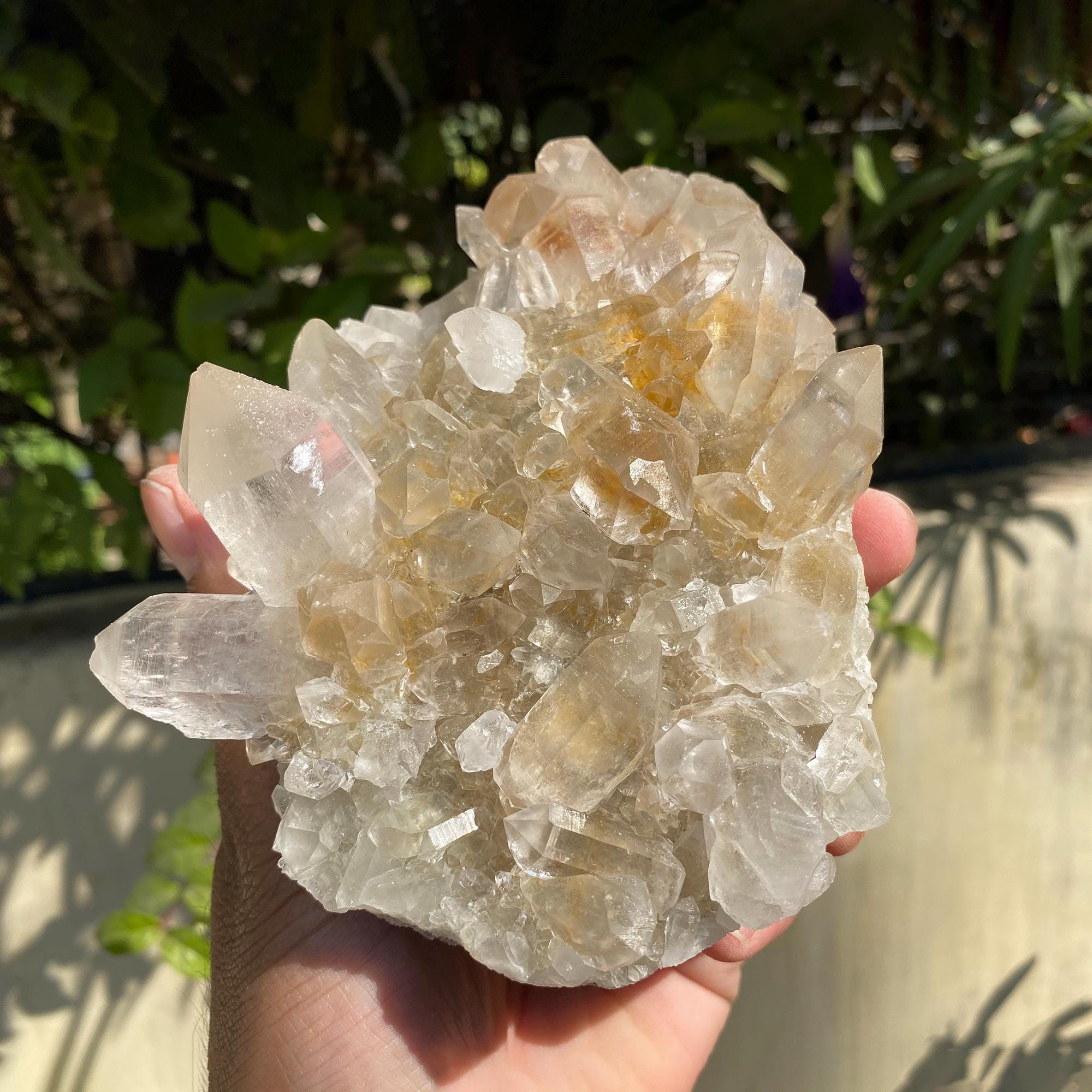 Golden Healer Quartz, Flowers Quartz Yellow Quartz, Samadhi Quartz Cluster, 735gm Limonite Quartz, Natural Mineral Specimen Quartz YLQ-335