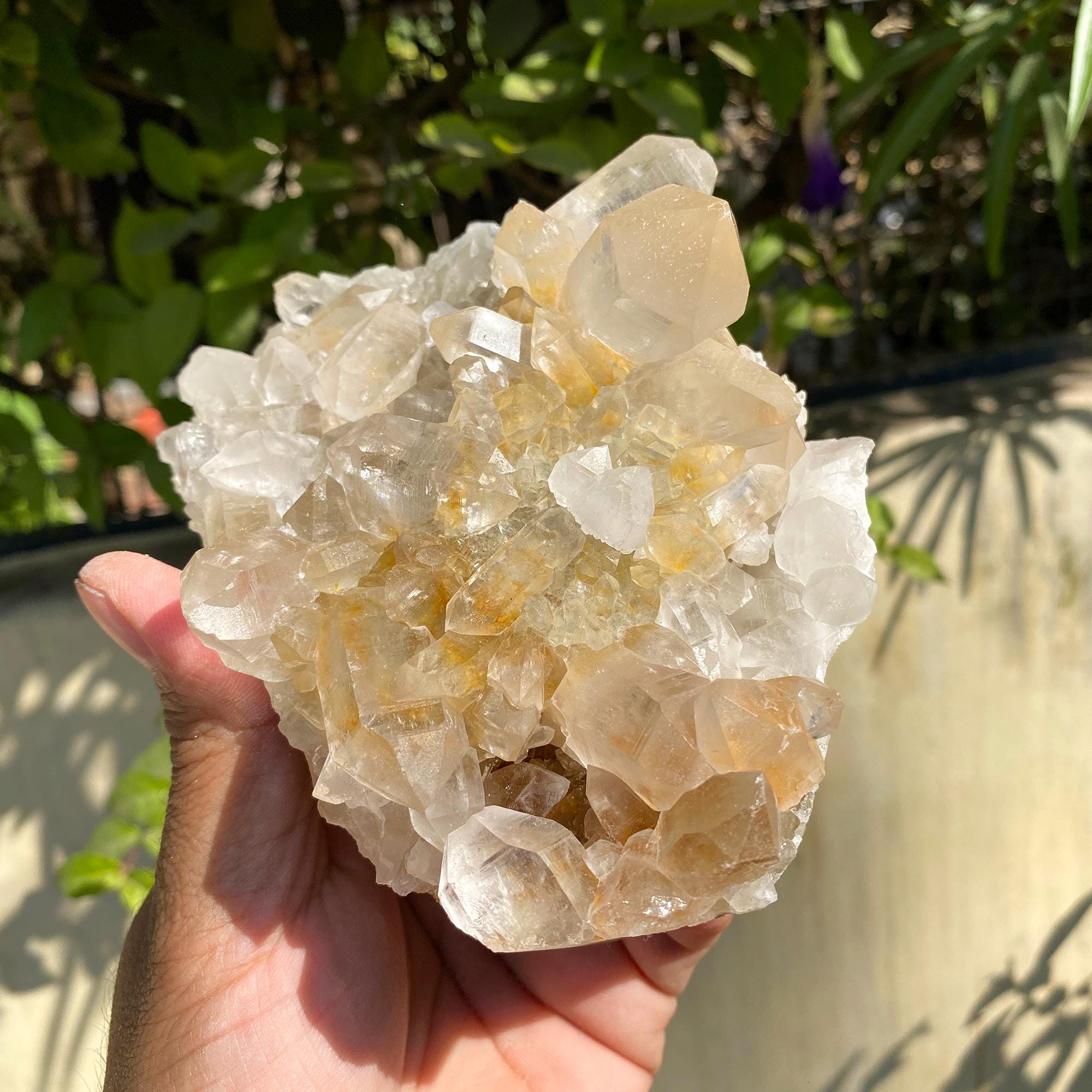 Golden Healer Quartz, Flowers Quartz Yellow Quartz, Samadhi Quartz Cluster, 735gm Limonite Quartz, Natural Mineral Specimen Quartz YLQ-335
