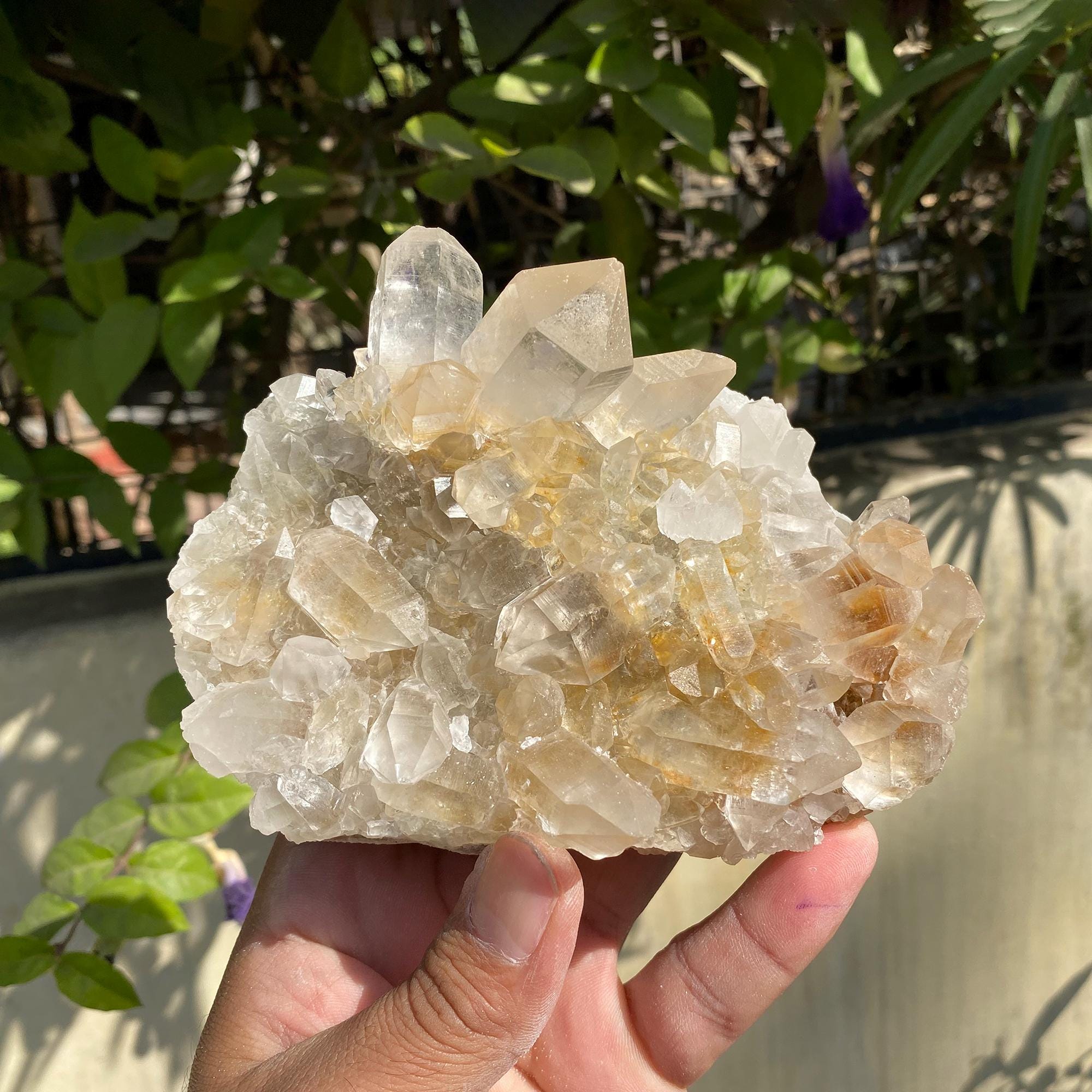 Golden Healer Quartz, Flowers Quartz Yellow Quartz, Samadhi Quartz Cluster, 735gm Limonite Quartz, Natural Mineral Specimen Quartz YLQ-335