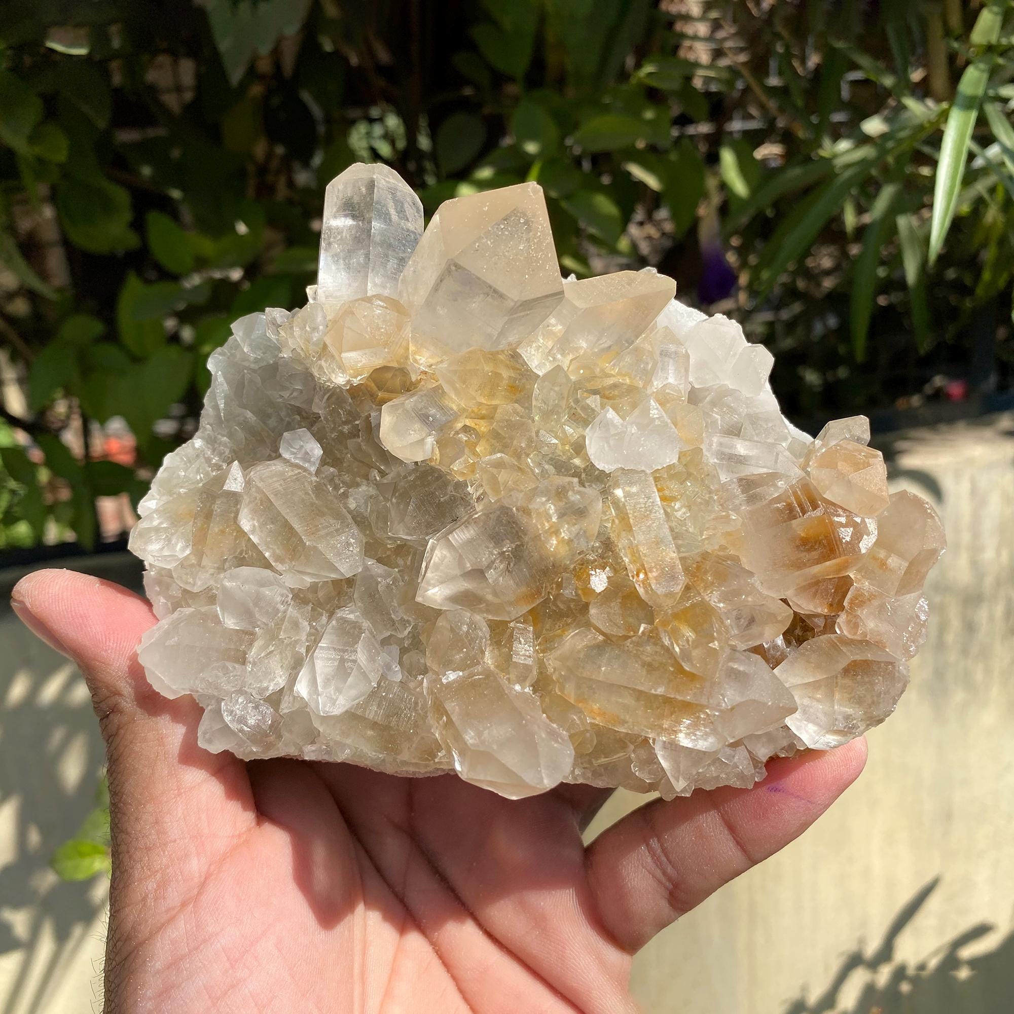 Golden Healer Quartz, Flowers Quartz Yellow Quartz, Samadhi Quartz Cluster, 735gm Limonite Quartz, Natural Mineral Specimen Quartz YLQ-335