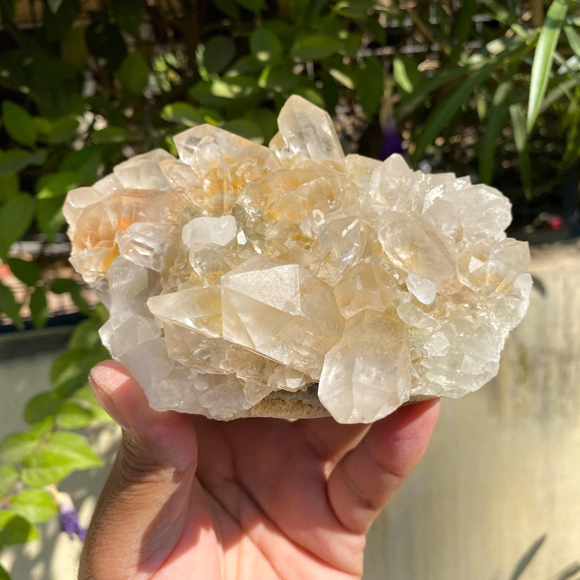 Golden Healer Quartz, Flowers Quartz Yellow Quartz, Samadhi Quartz Cluster, 735gm Limonite Quartz, Natural Mineral Specimen Quartz YLQ-335