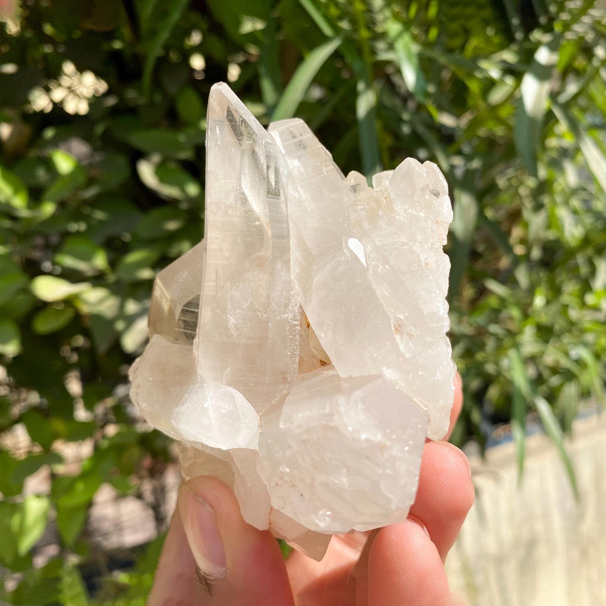 450gm Himalayan White Phantom Quartz Cluster: Samadhi Crystal Home Decor