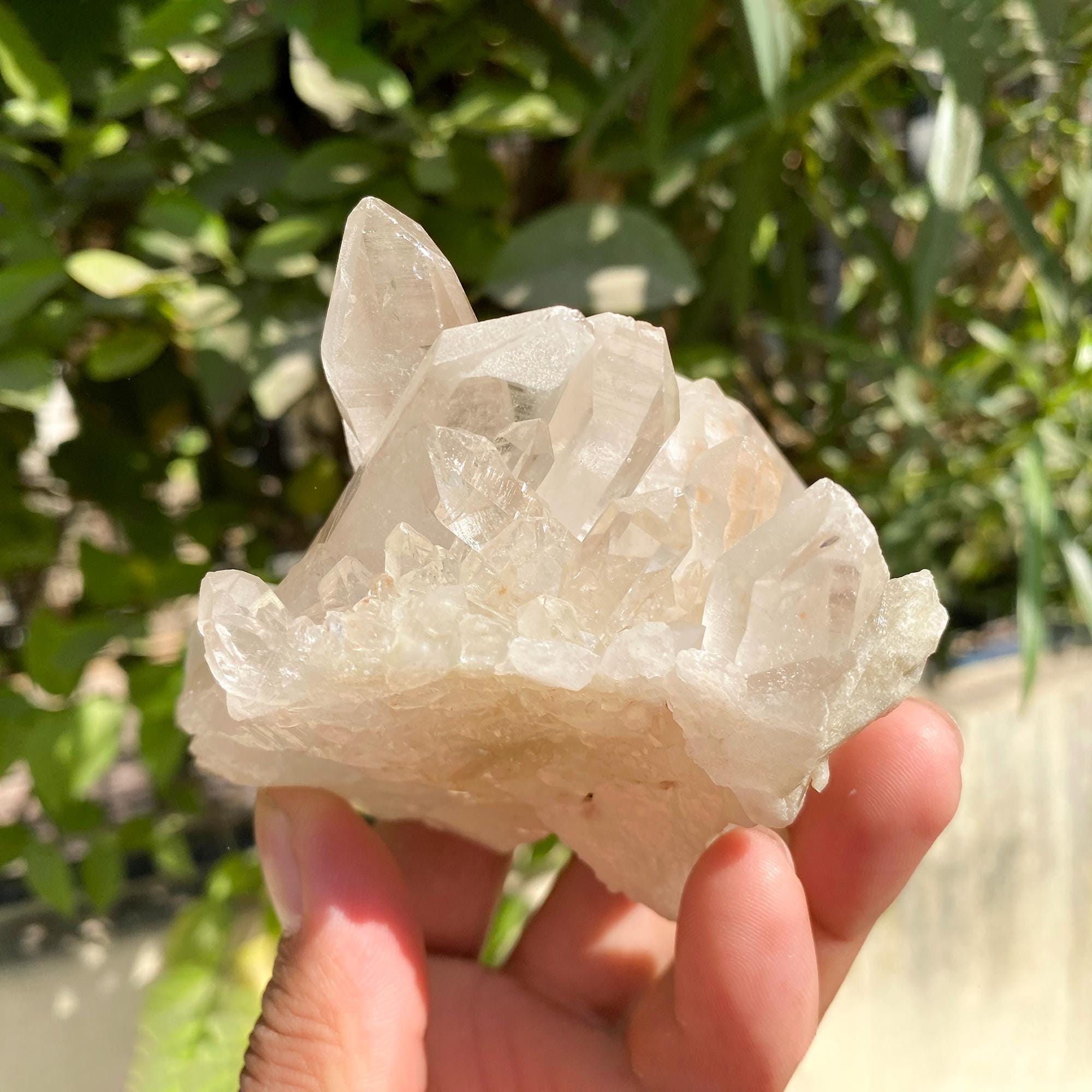 450gm Himalayan White Phantom Quartz Cluster: Samadhi Crystal Home Decor
