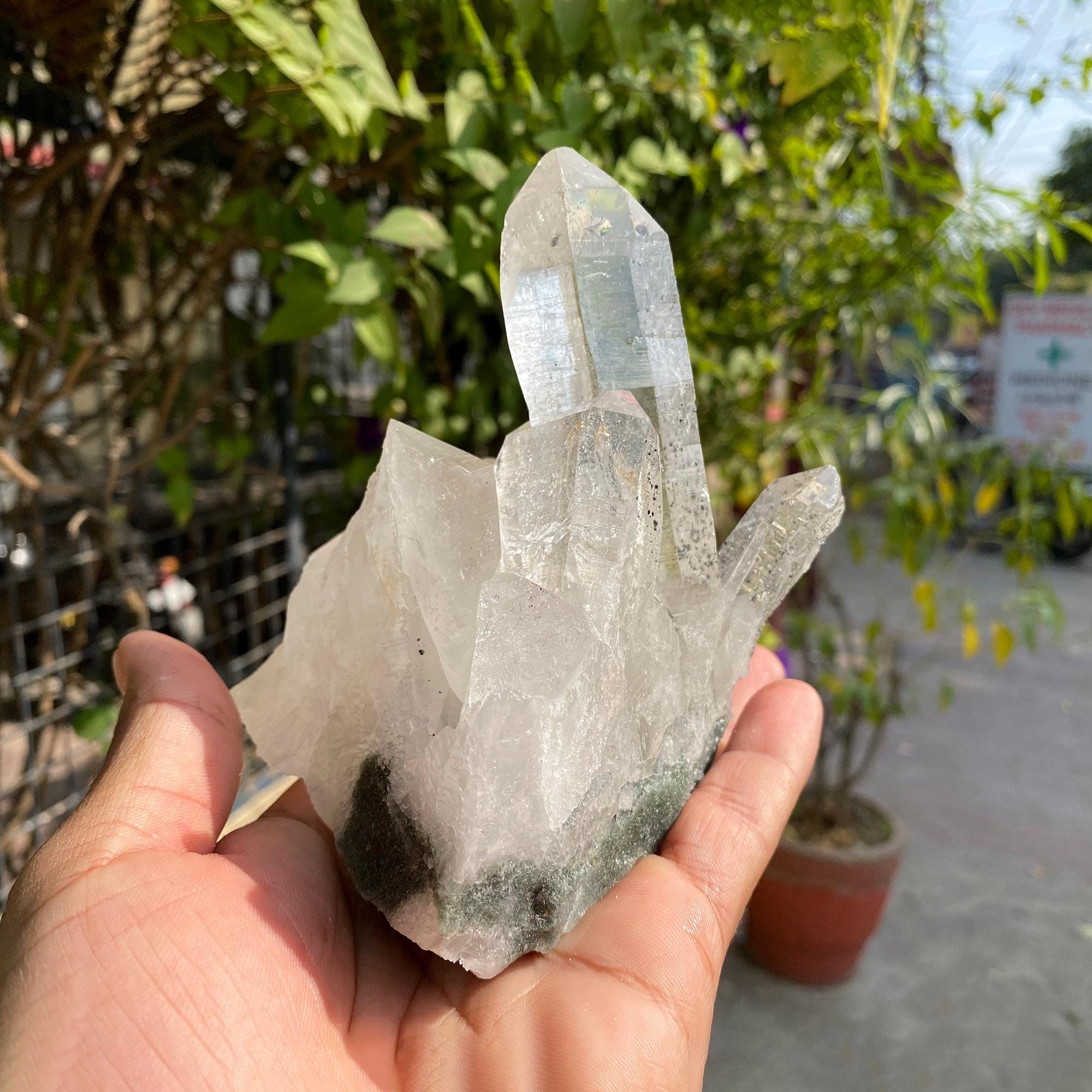 Raw Chlorite Quartz Crystal Point: Natural Anatase Healing Stone 710gm