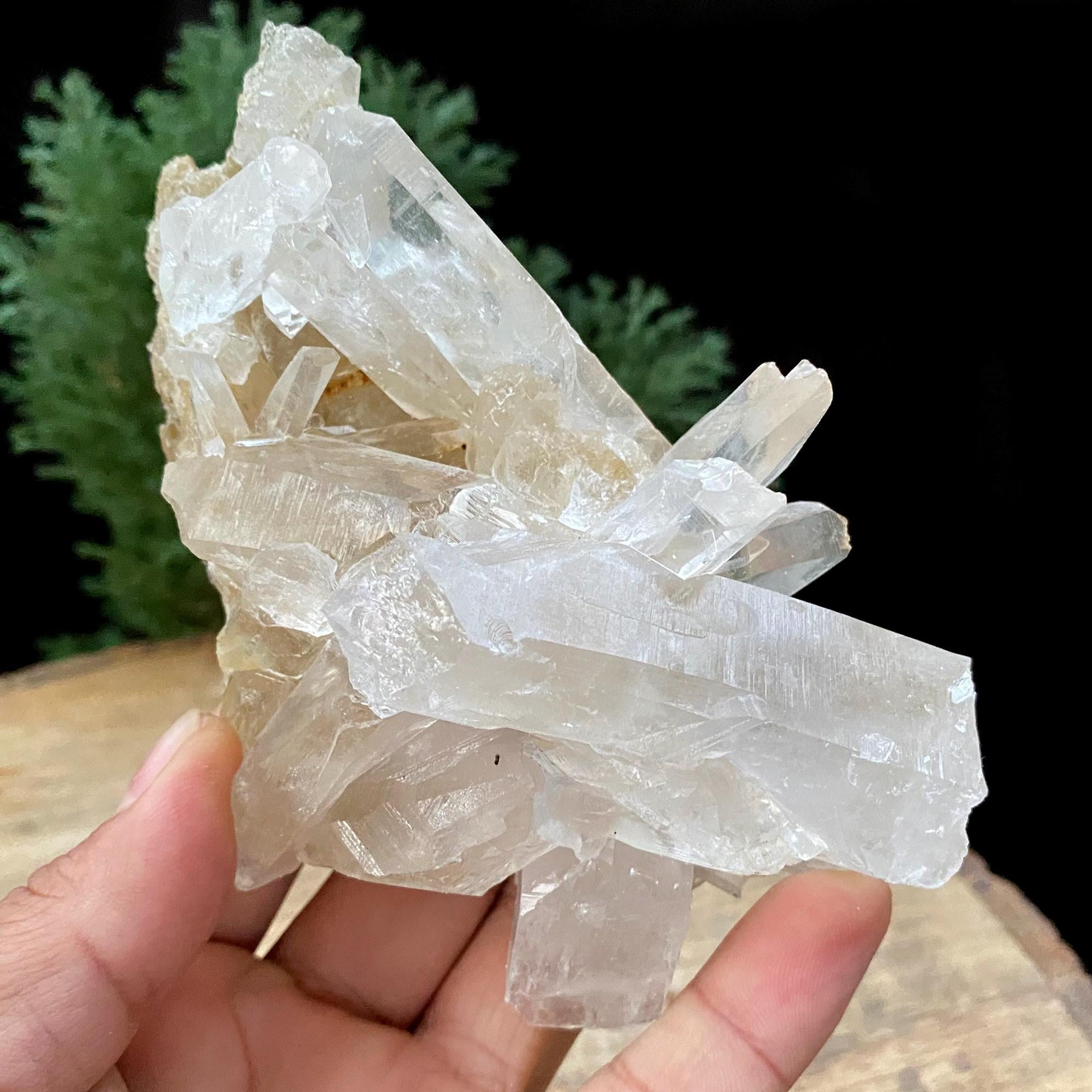 Golden Healer Quartz Crystal: Raw Yellow Mineral Specimen, Home Decor 395gm