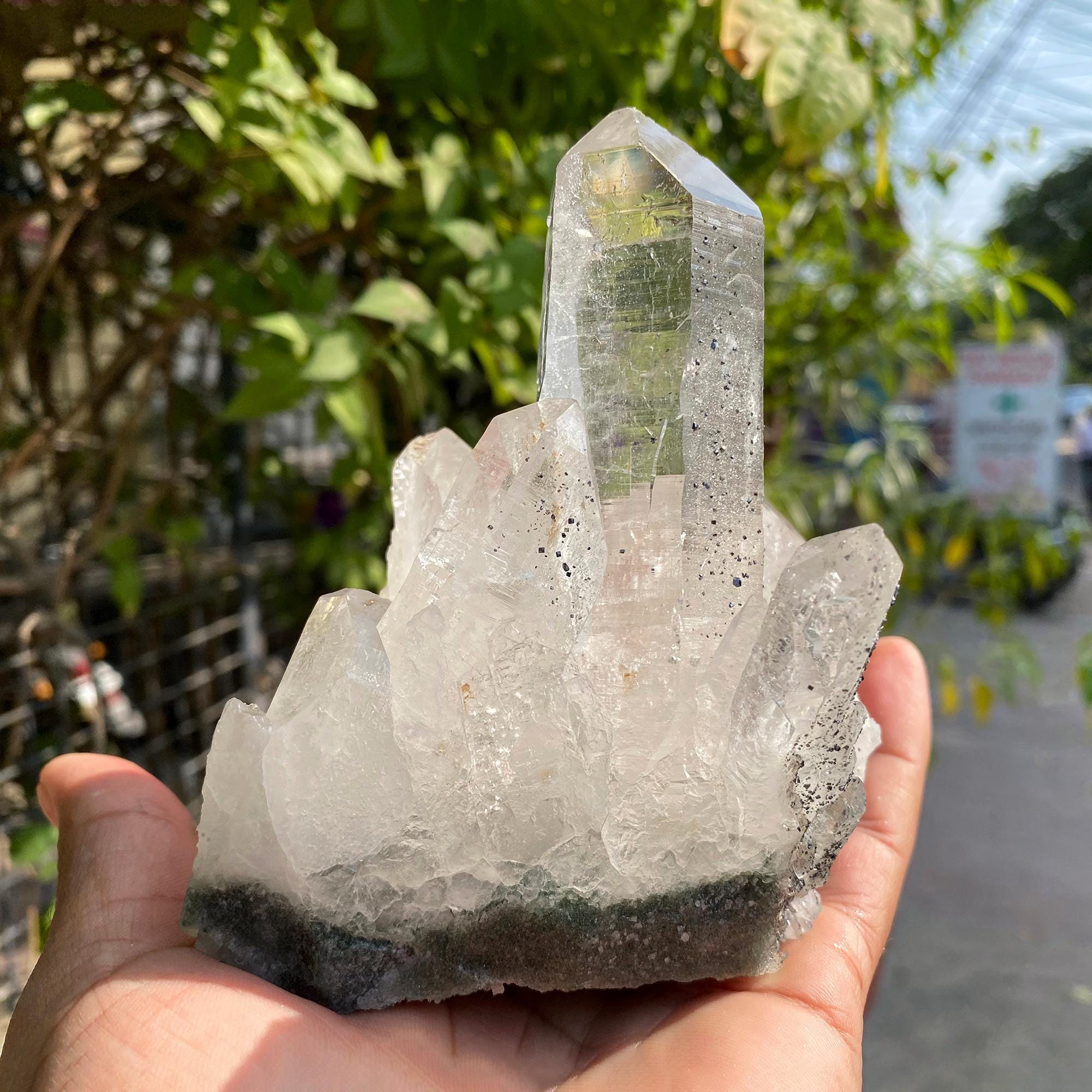 Raw Chlorite Quartz Crystal Point: Natural Anatase Healing Stone 710gm