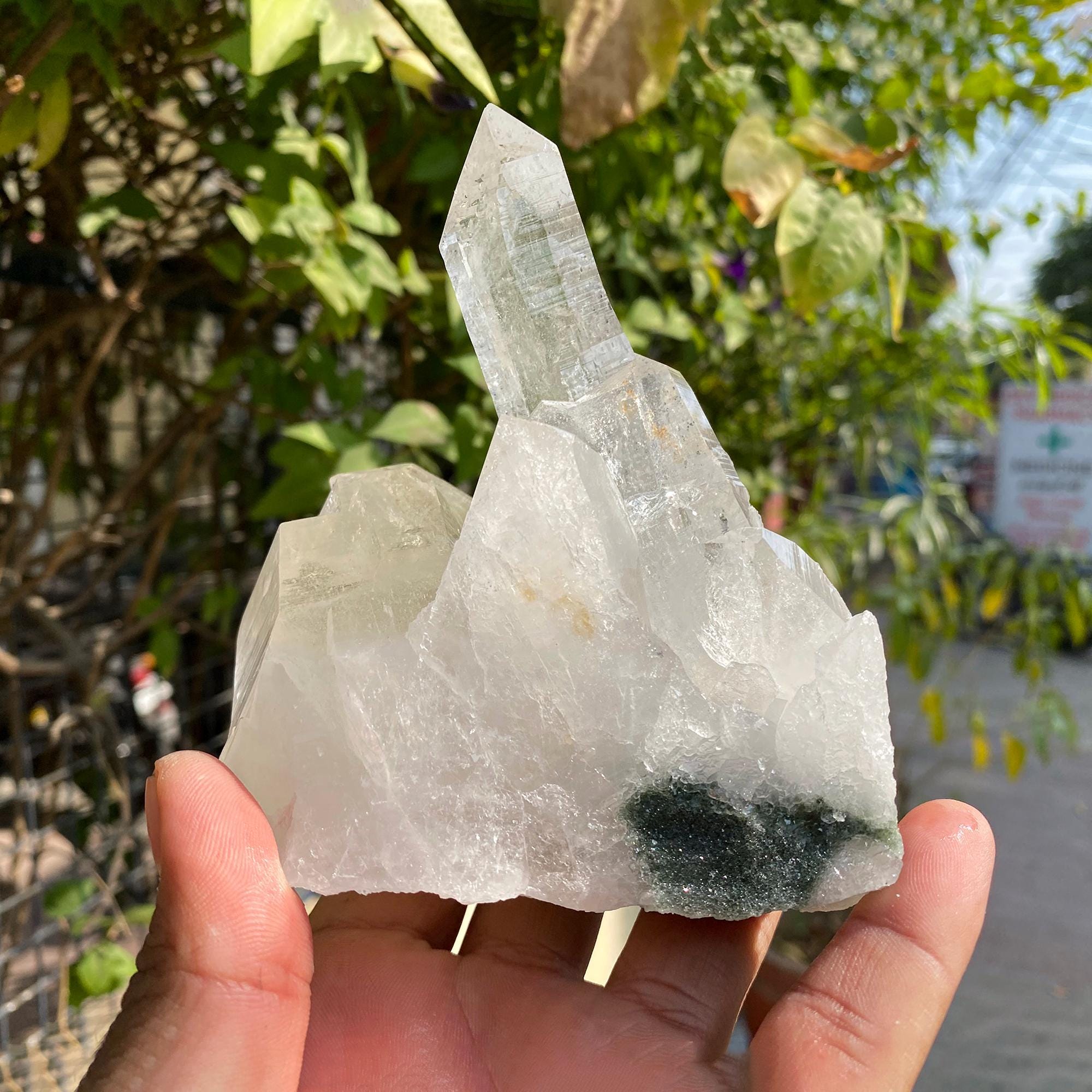 Raw Chlorite Quartz Crystal Point: Natural Anatase Healing Stone 710gm