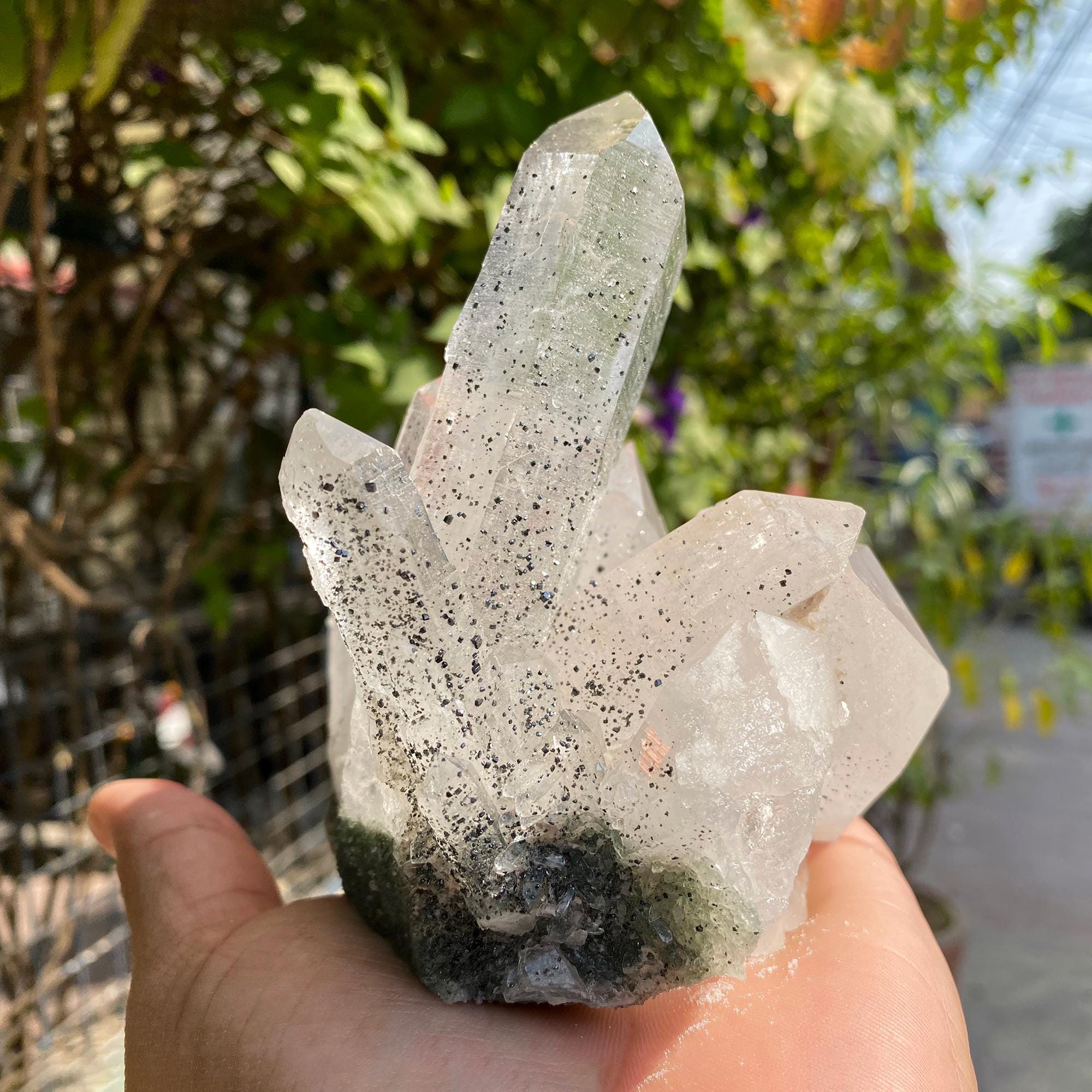 Raw Chlorite Quartz Crystal Point: Natural Anatase Healing Stone 710gm