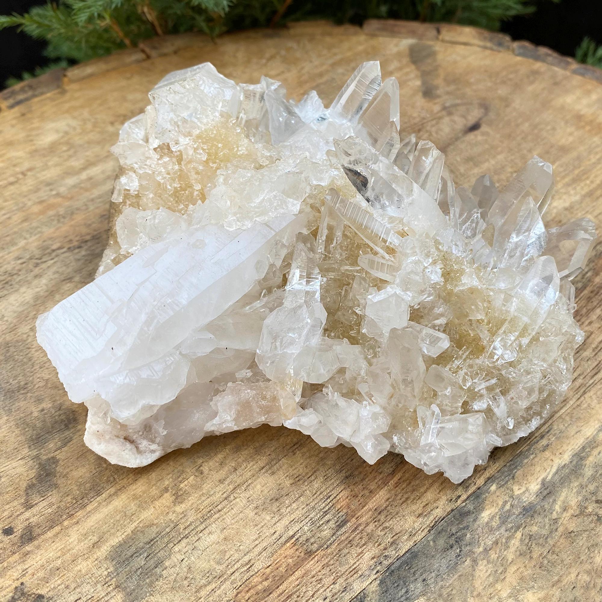 515gm Yellow Samadhi Quartz Crystal: Raw Healing Crystal Minerals