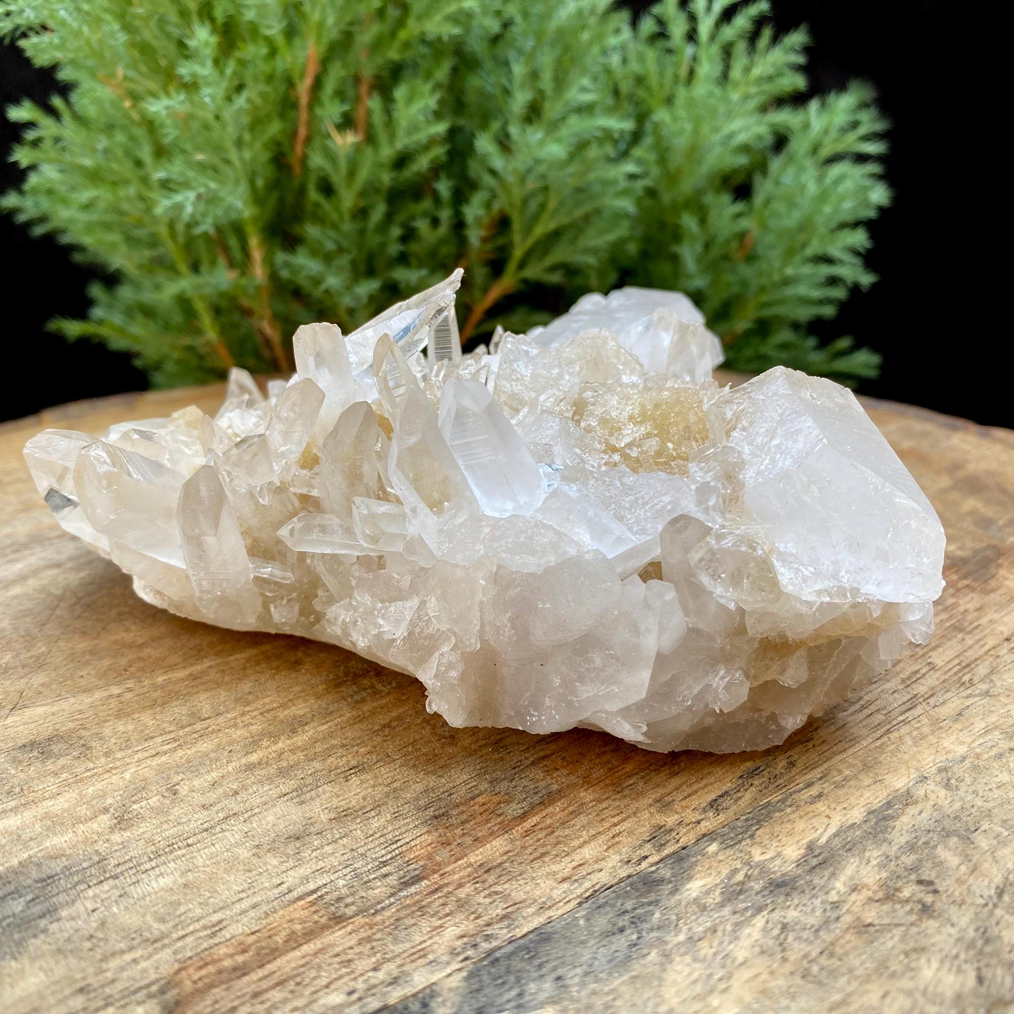 515gm Yellow Samadhi Quartz Crystal: Raw Healing Crystal Minerals
