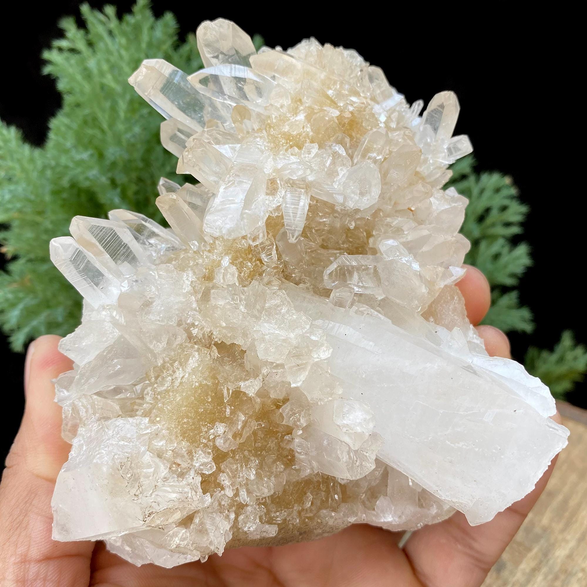 515gm Yellow Samadhi Quartz Crystal: Raw Healing Crystal Minerals