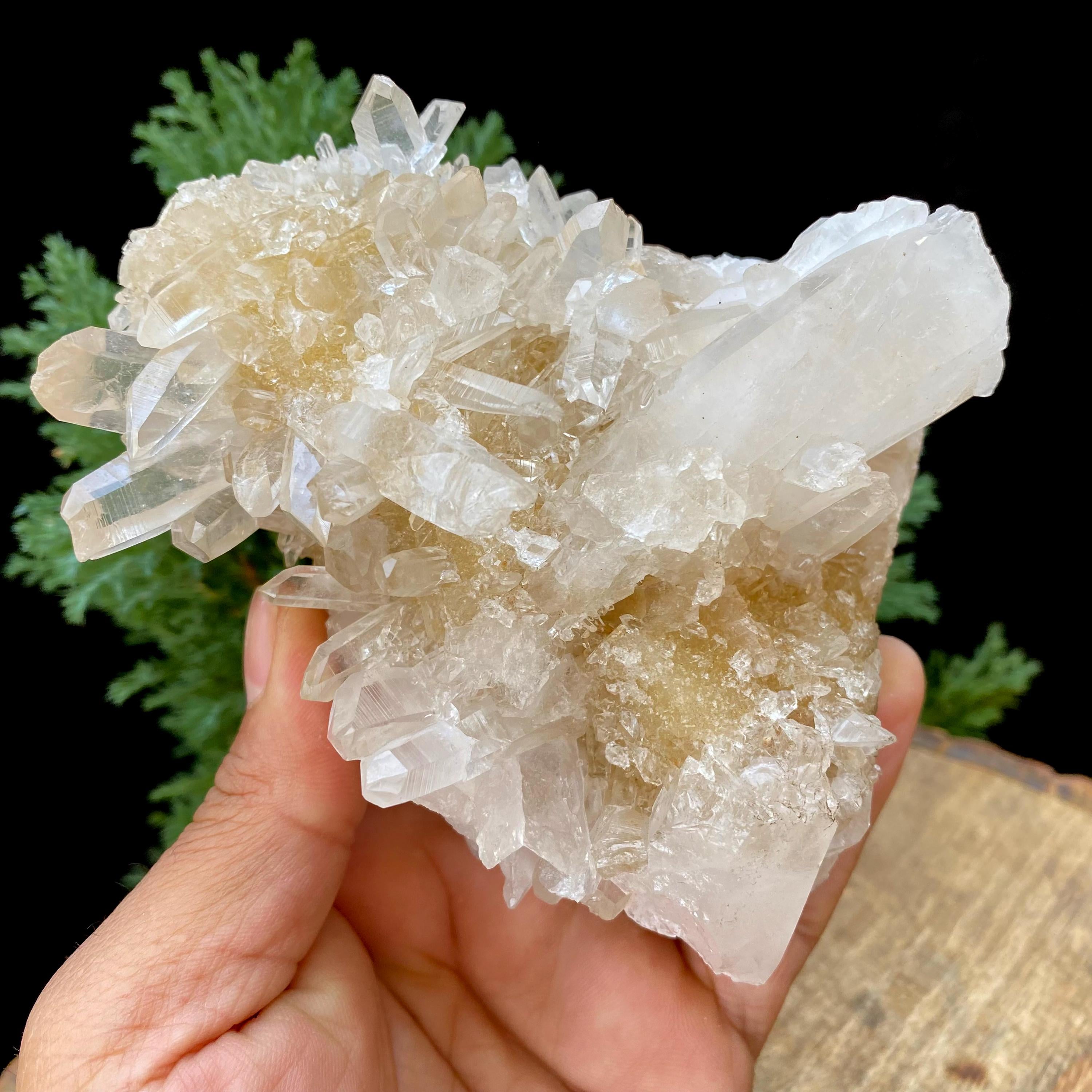 515gm Yellow Samadhi Quartz Crystal: Raw Healing Crystal Minerals